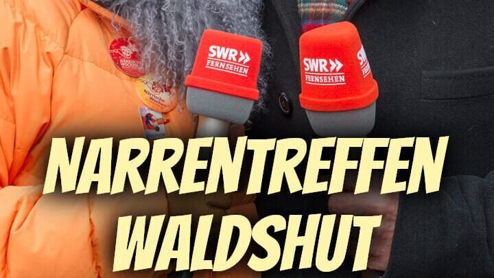 Narrentreffen Waldshut