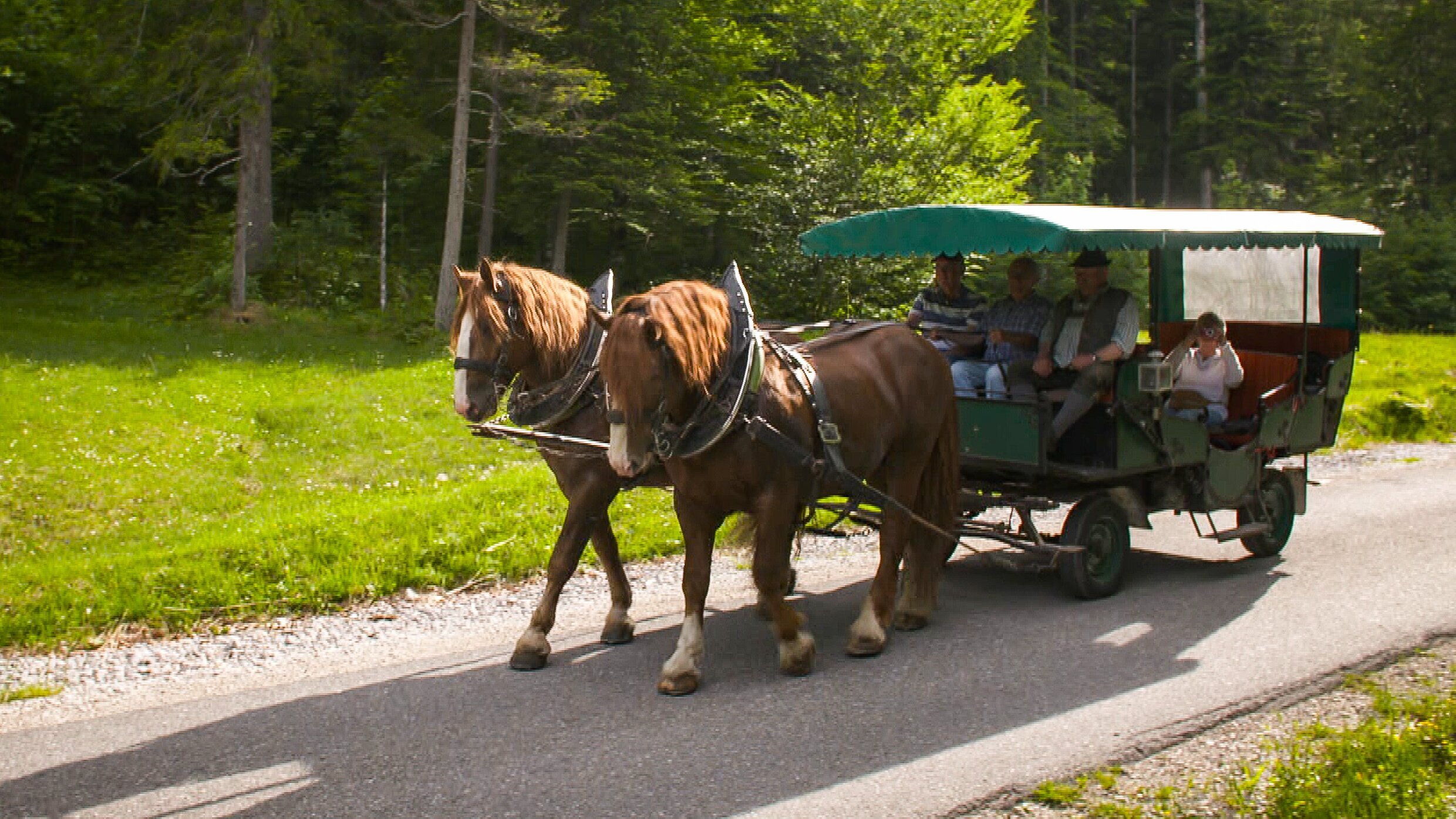 Verrückt nach Camping