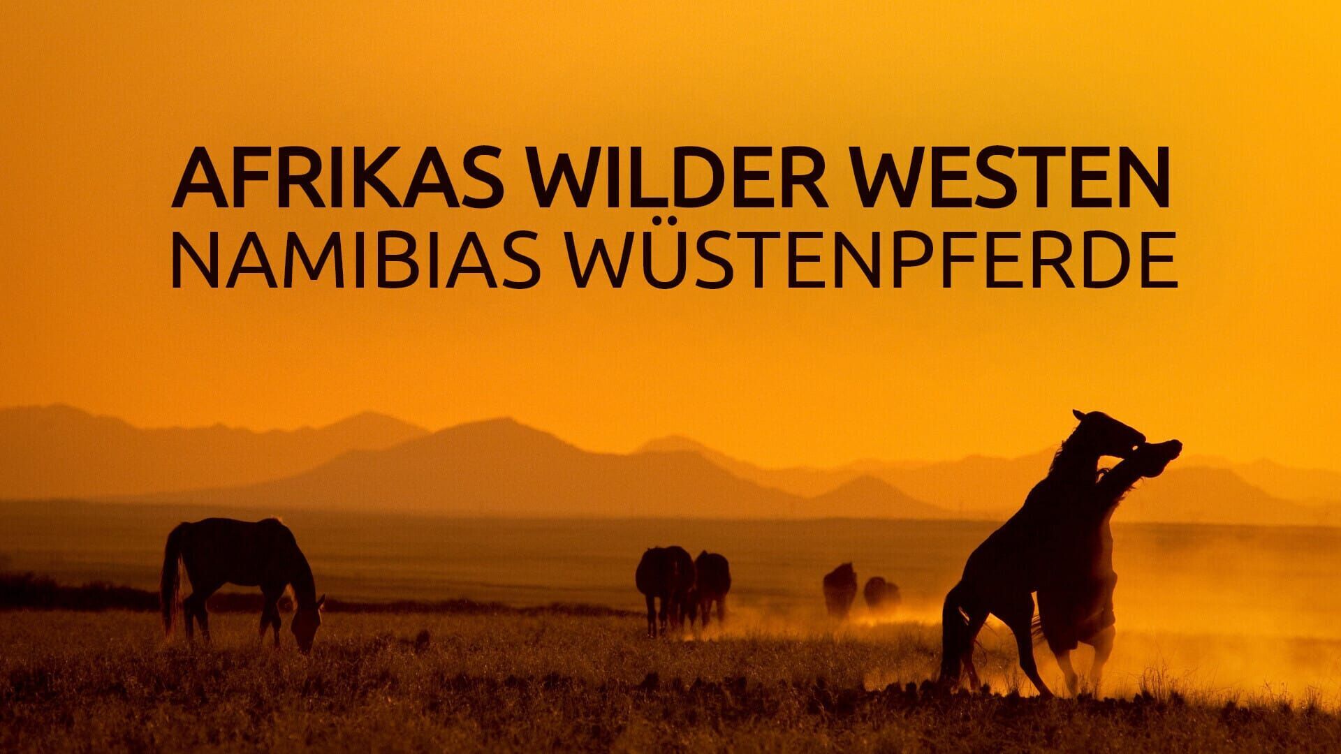 Afrikas Wilder Westen – Namibias Wüstenpferde