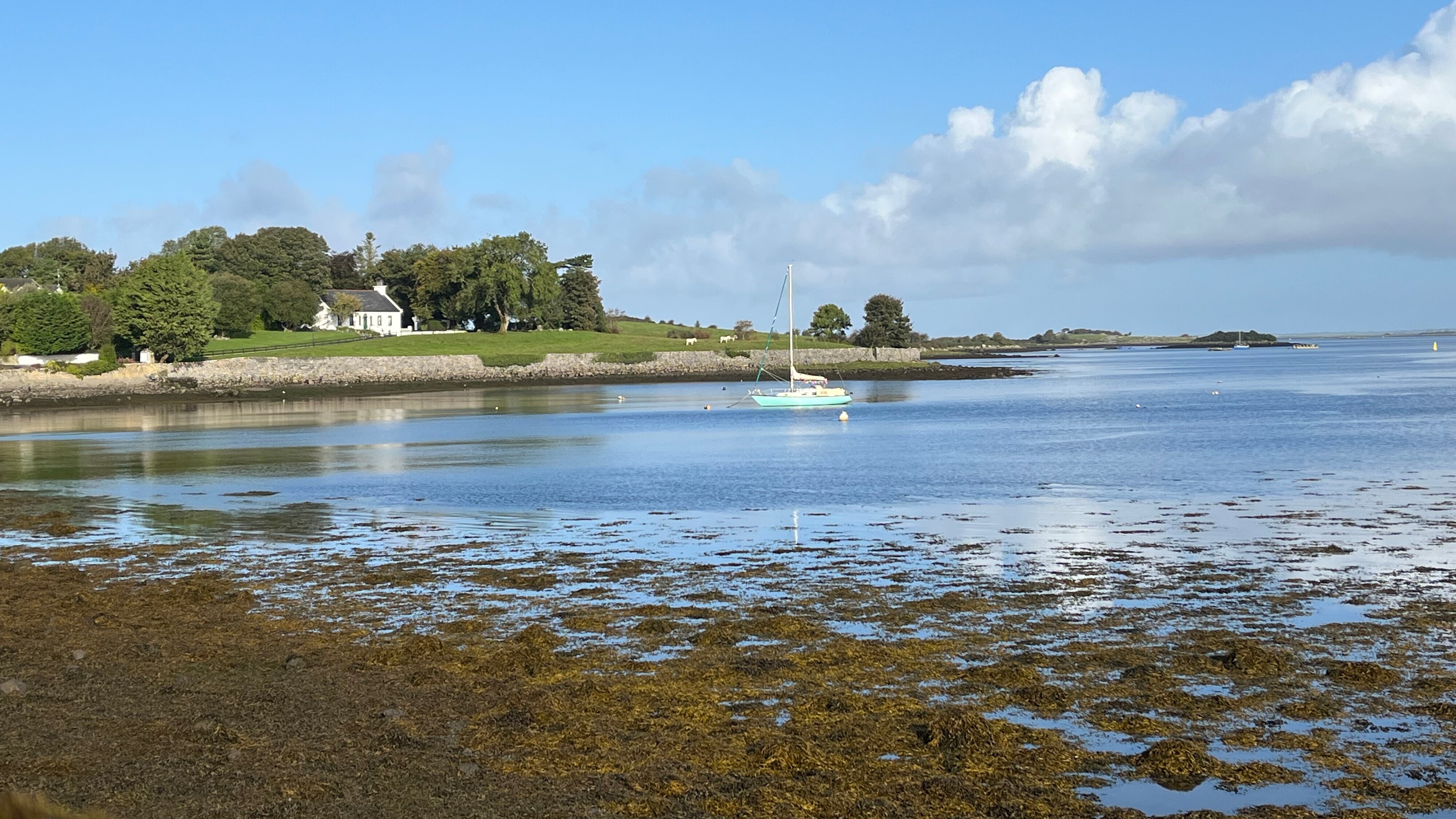 Reif für die Grüne Insel? Wenn es Deutsche nach Irland weht