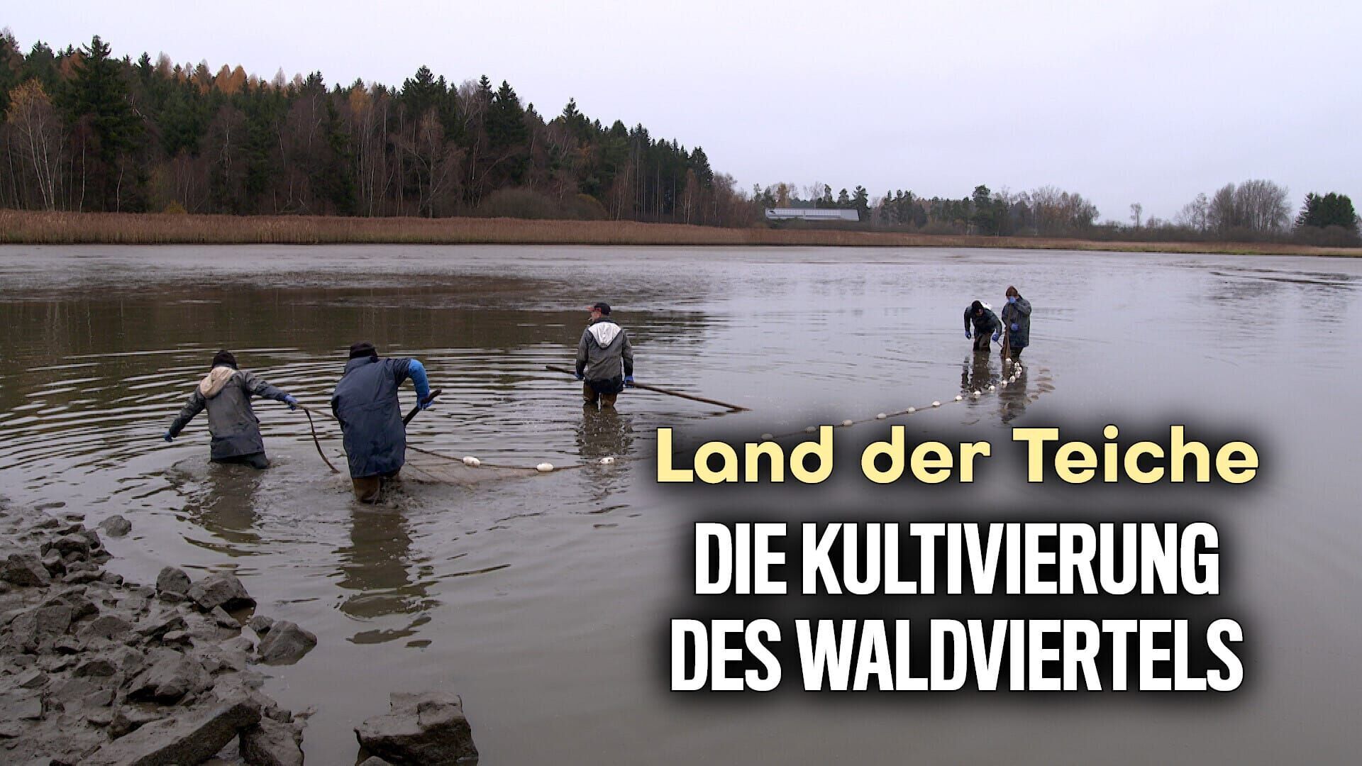 Land der Teiche – Die Kultivierung des Waldviertels