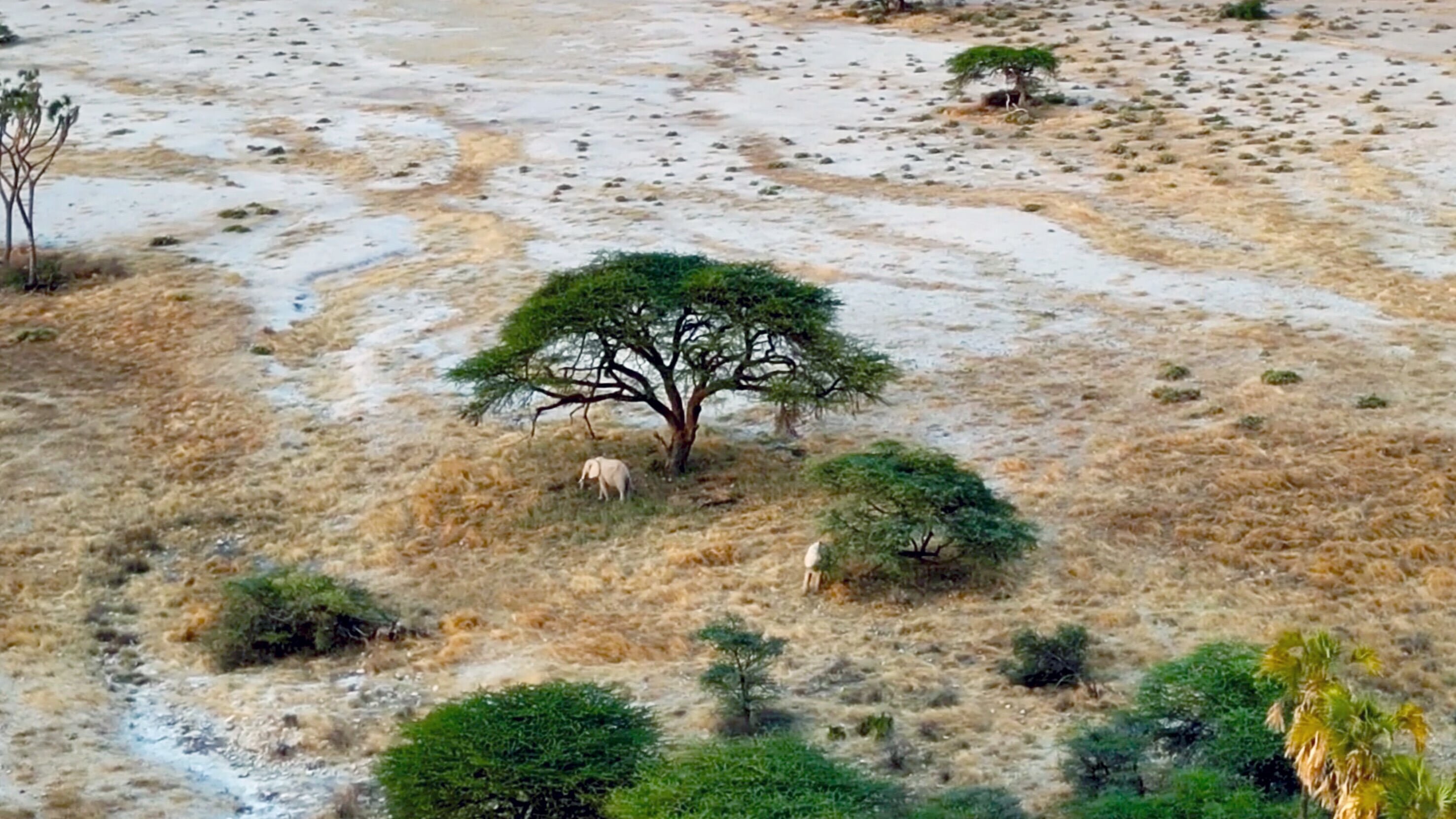 Kenia – Land der Kontraste