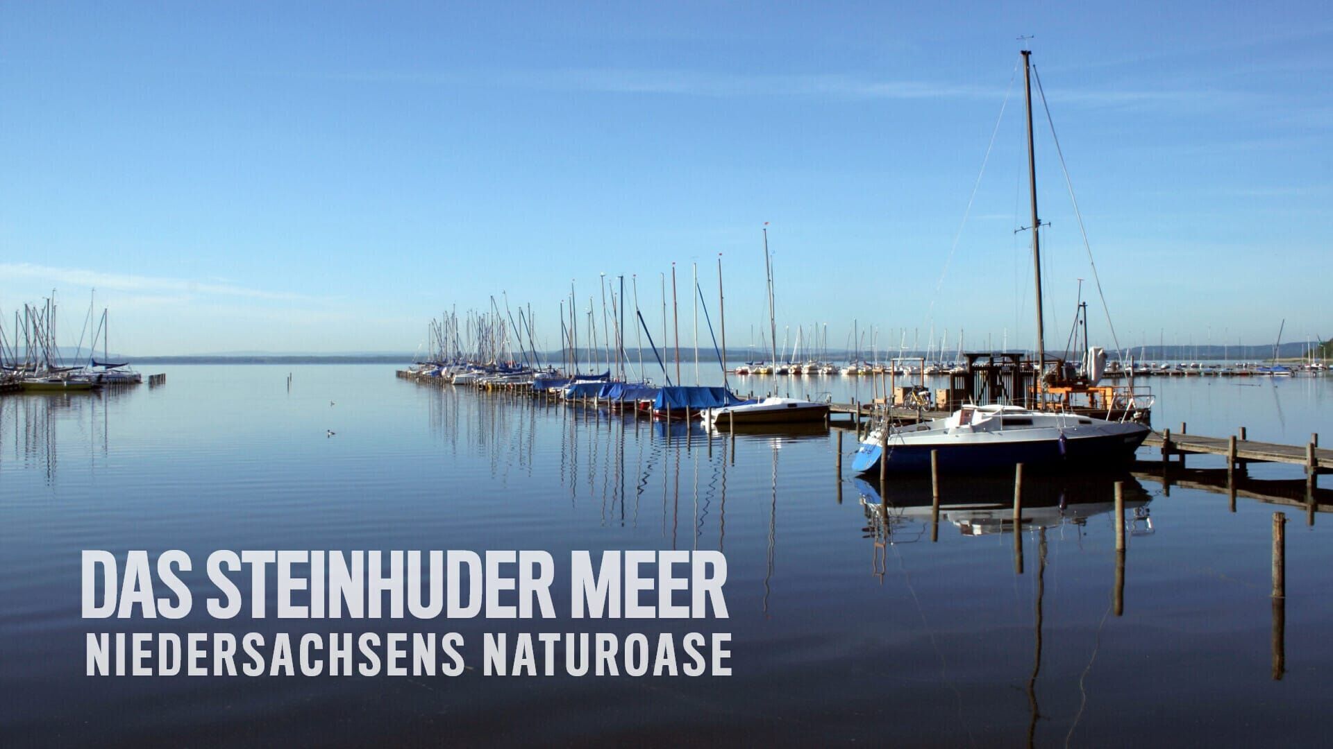 Das Steinhuder Meer