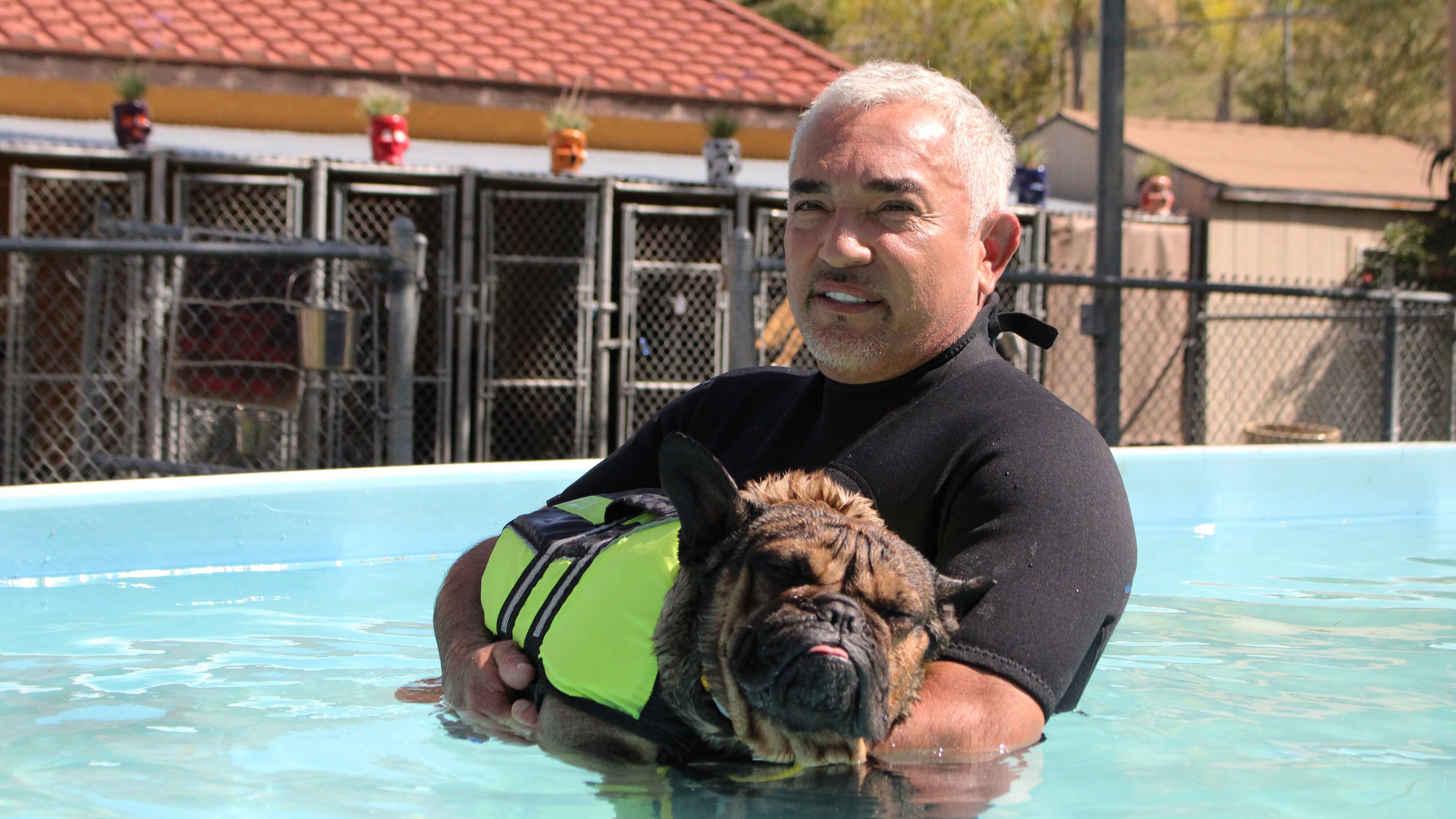 Cesar Millan: Better Human Better Dog – Bessere Menschen, bessere Hunde