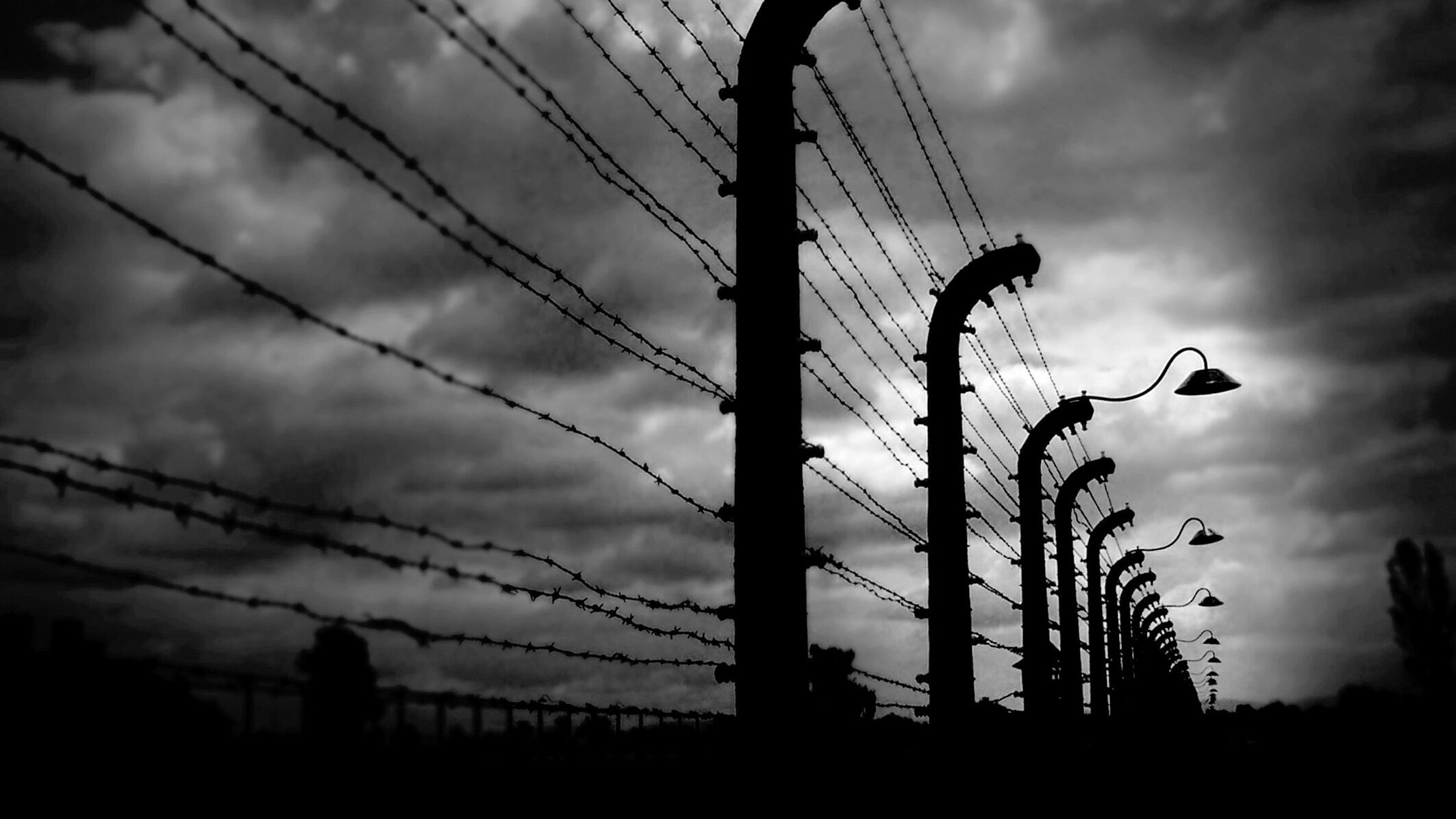 Die Wahrheit über den Holocaust