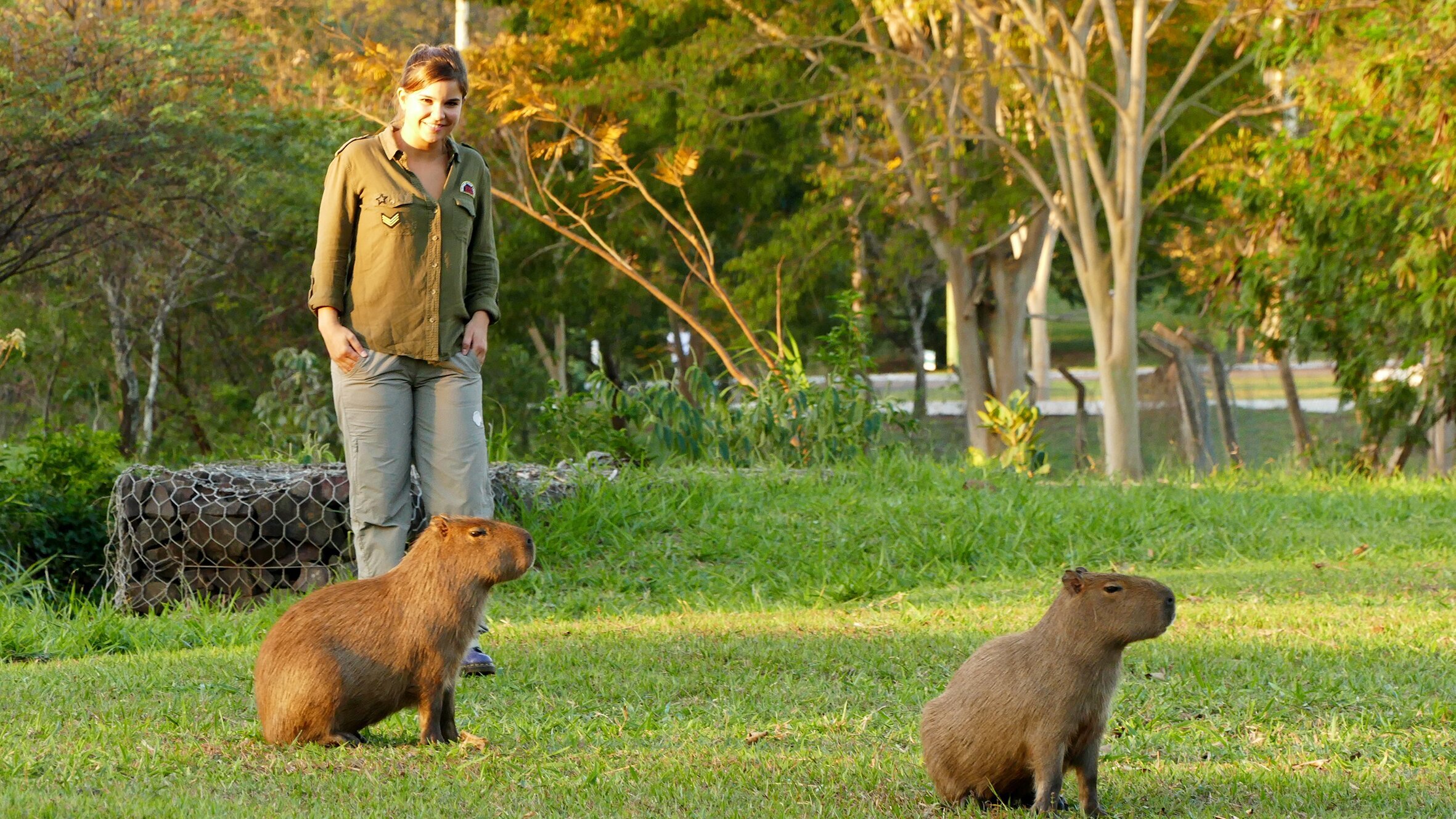 Anna und die wilden Tiere