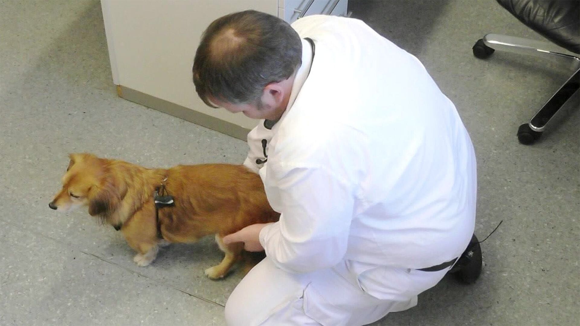Hautnah: Die Tierklinik