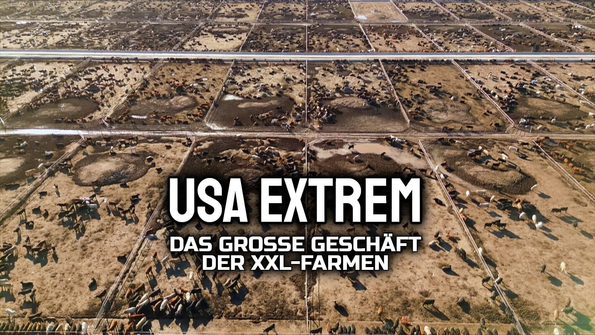 USA extrem: Das große Geschäft der XXL-Farmen