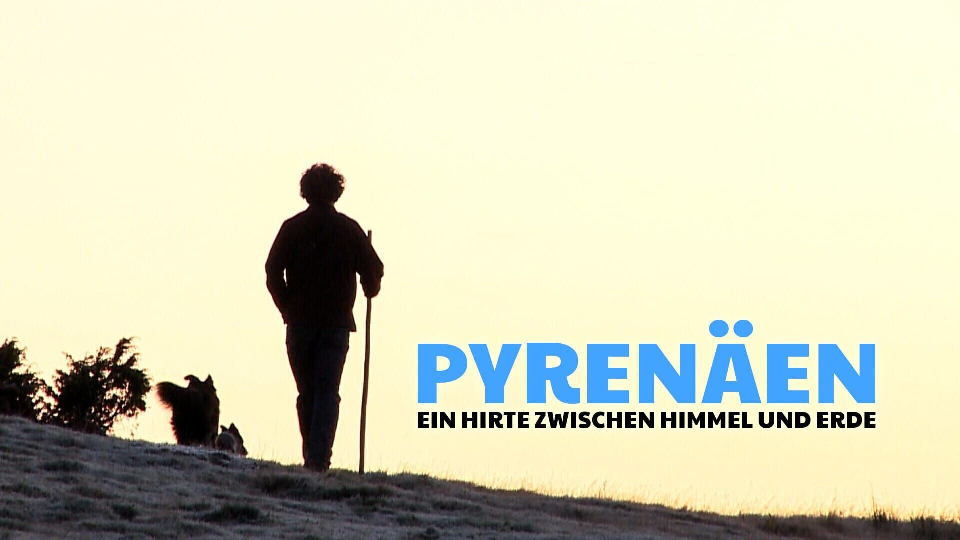 Pyrenäen: Ein Hirte zwischen Himmel und Erde