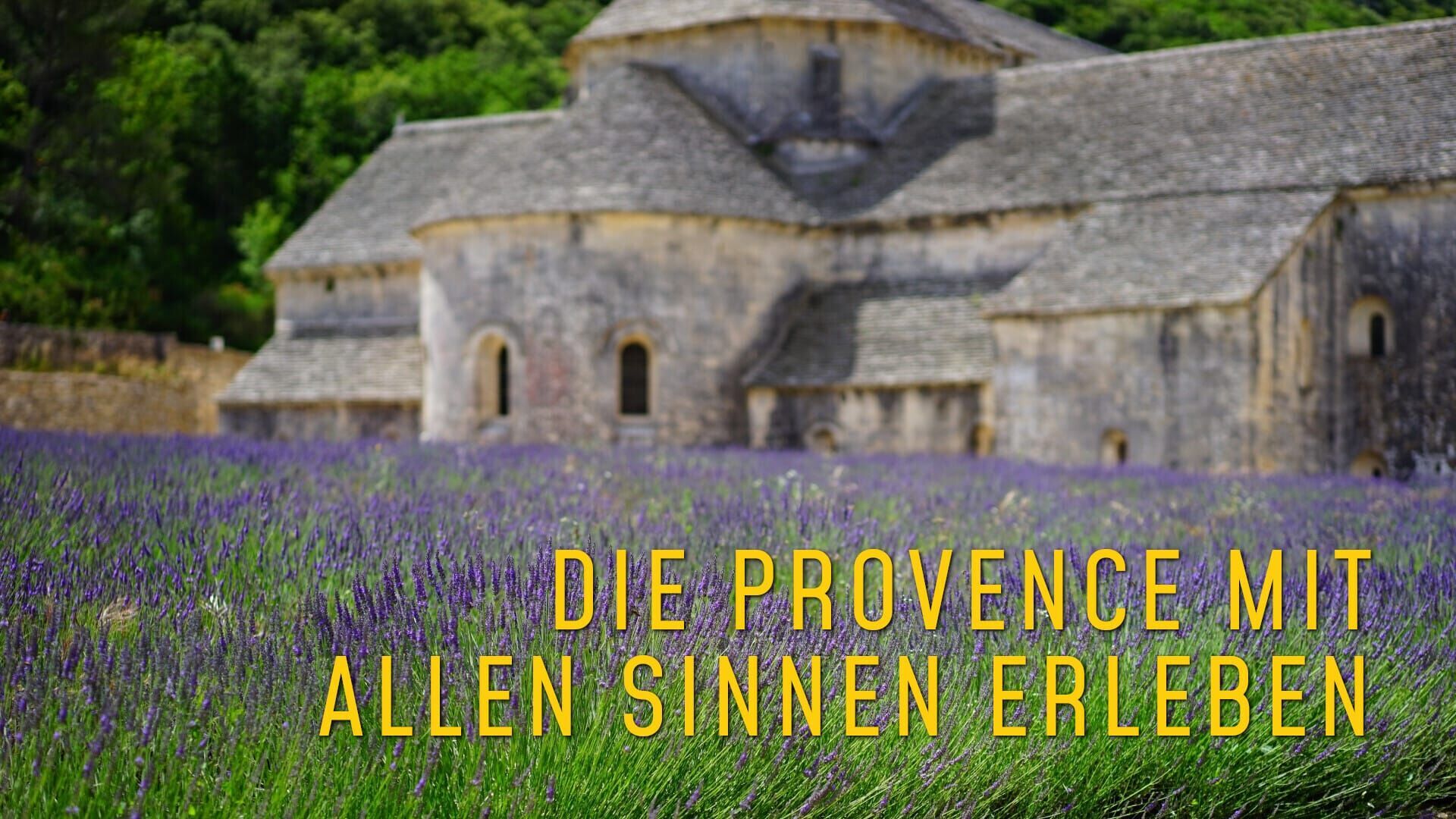 Die Provence mit allen Sinnen erleben