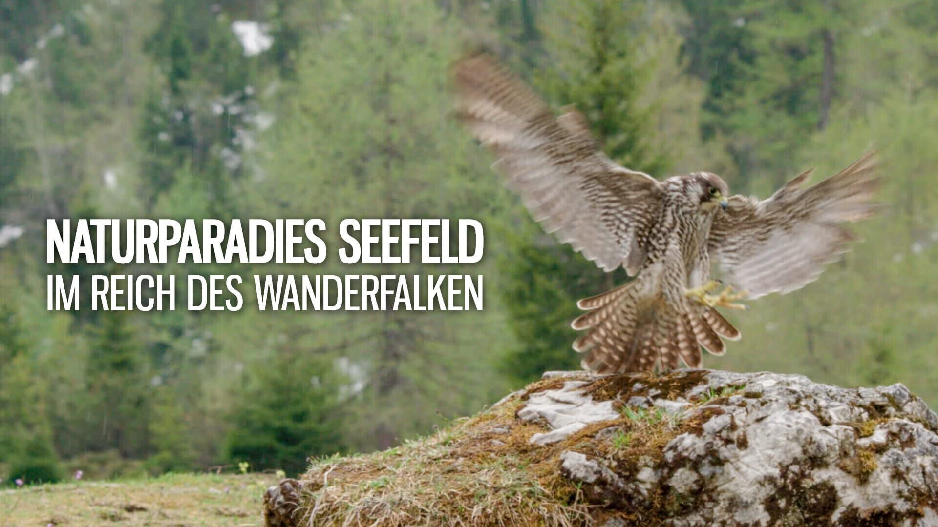 Naturparadies Seefeld – Im Reich des Wanderfalken