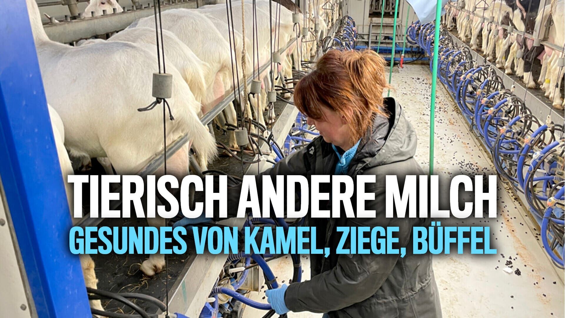 Tierisch andere Milch