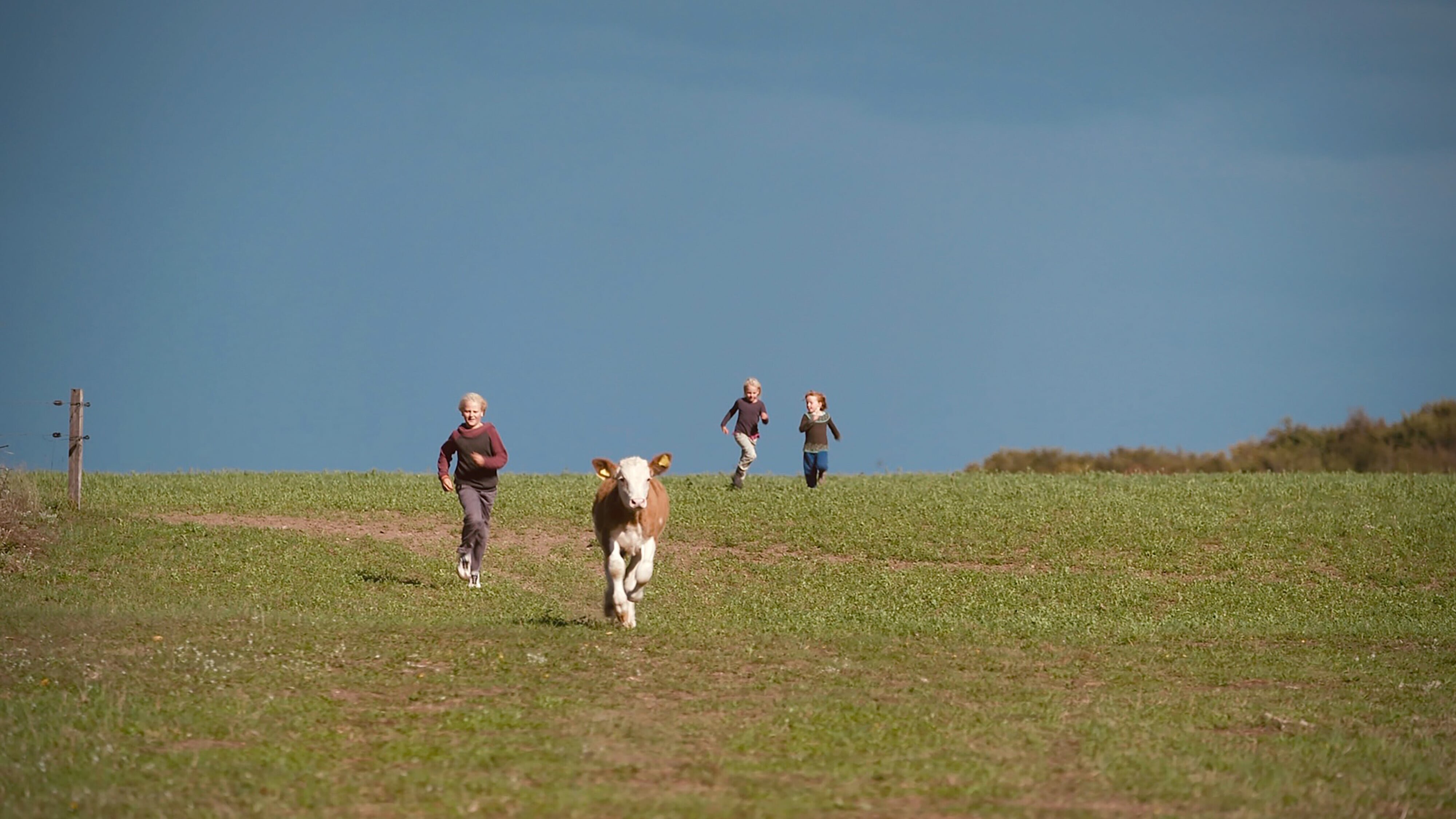 Unterwegs in der Uckermark