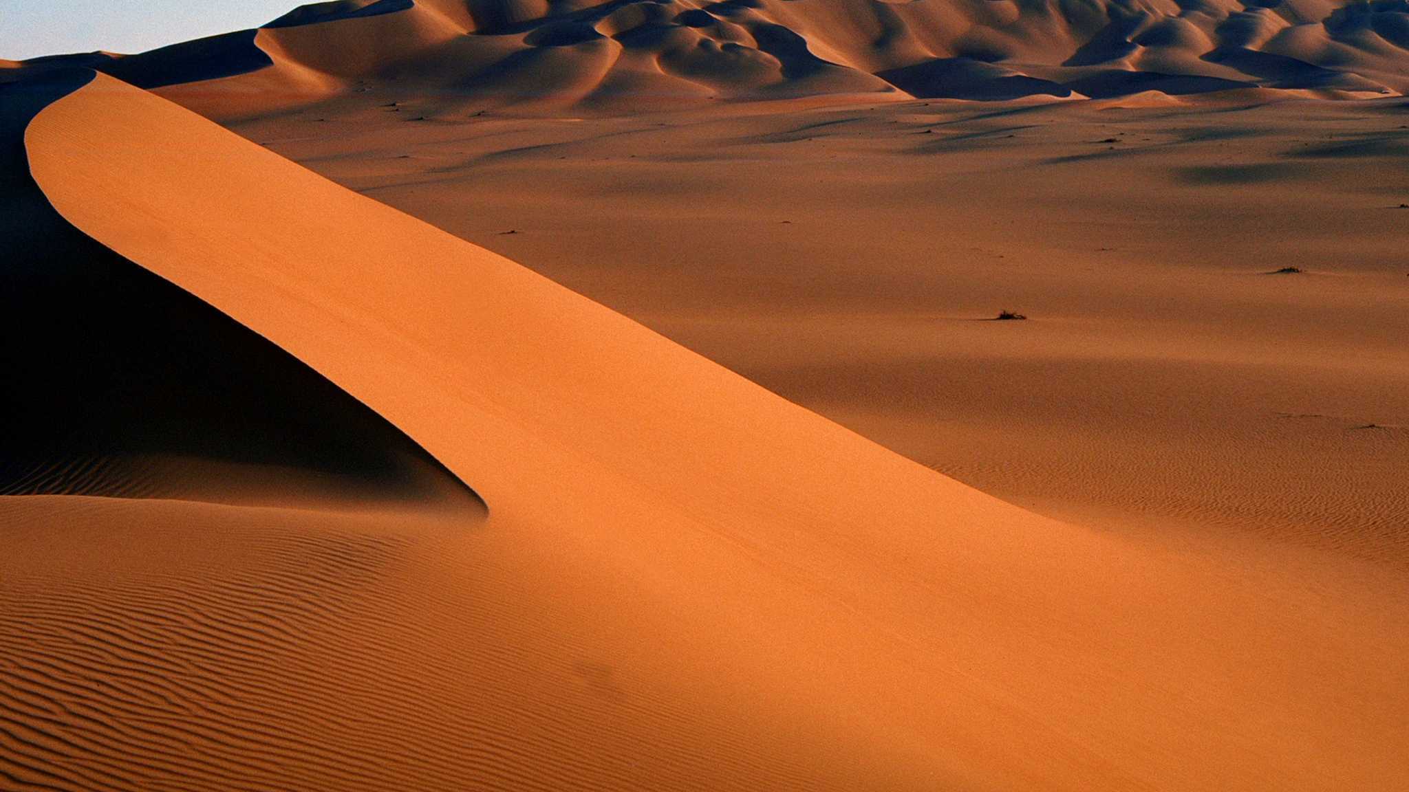 Söhne der Wüste