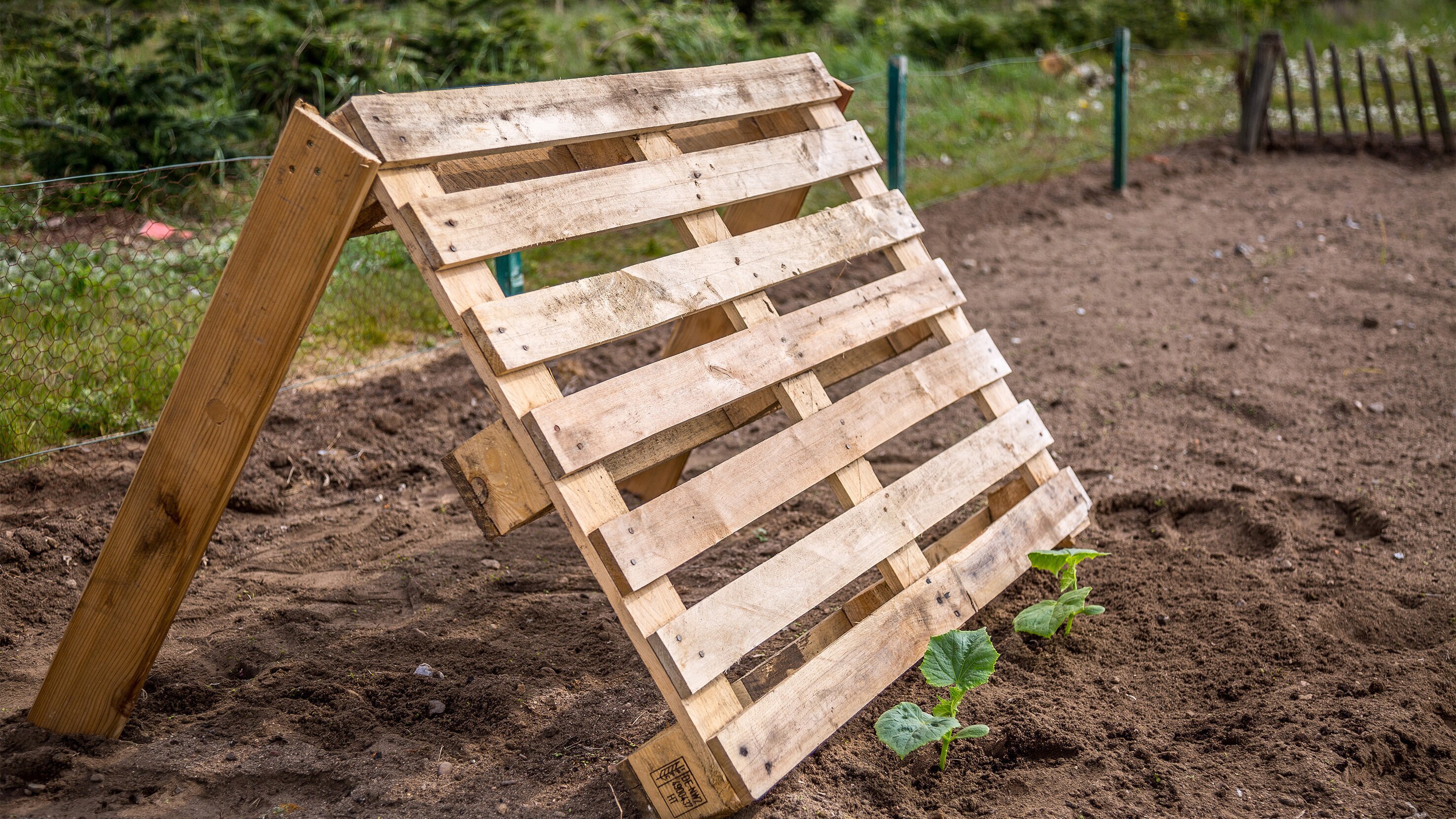 Rasch durch den Garten