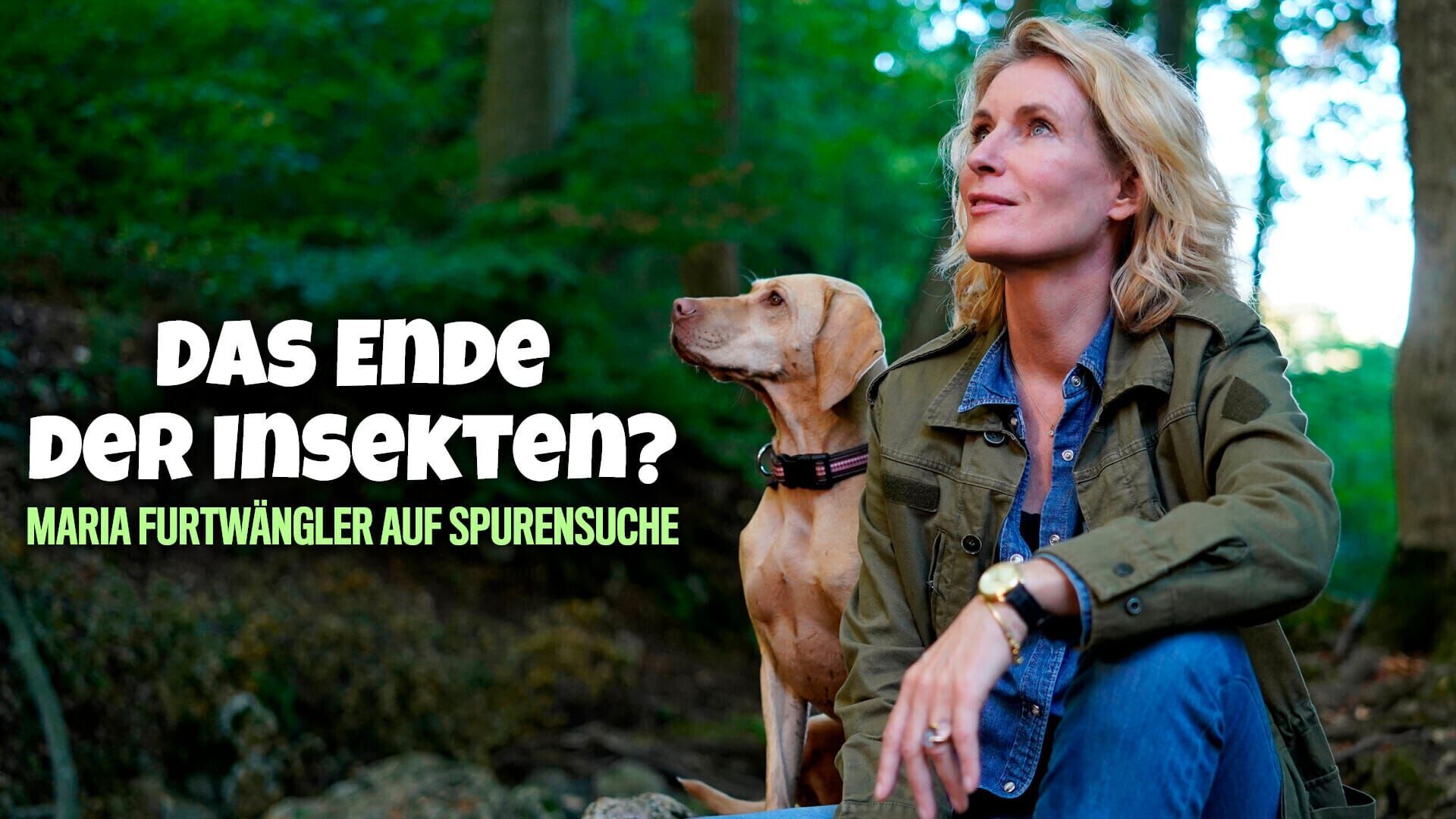 Das Ende der Insekten? – Maria Furtwängler auf Spurensuche