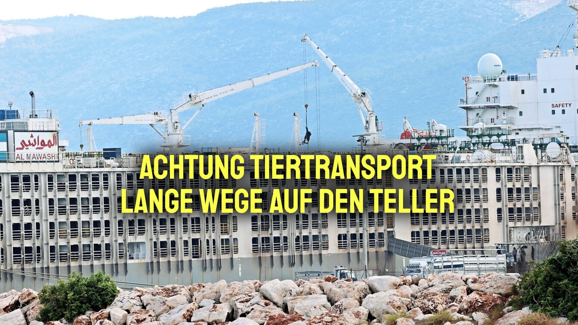 Achtung Tiertransport