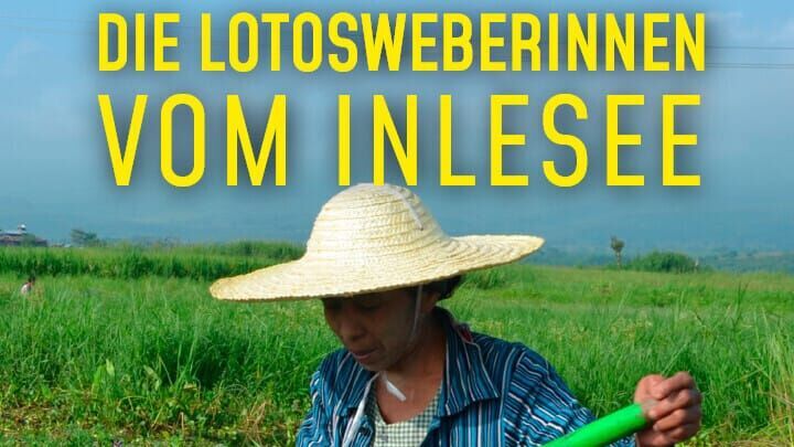 Die Lotosweberinnen vom Inlesee