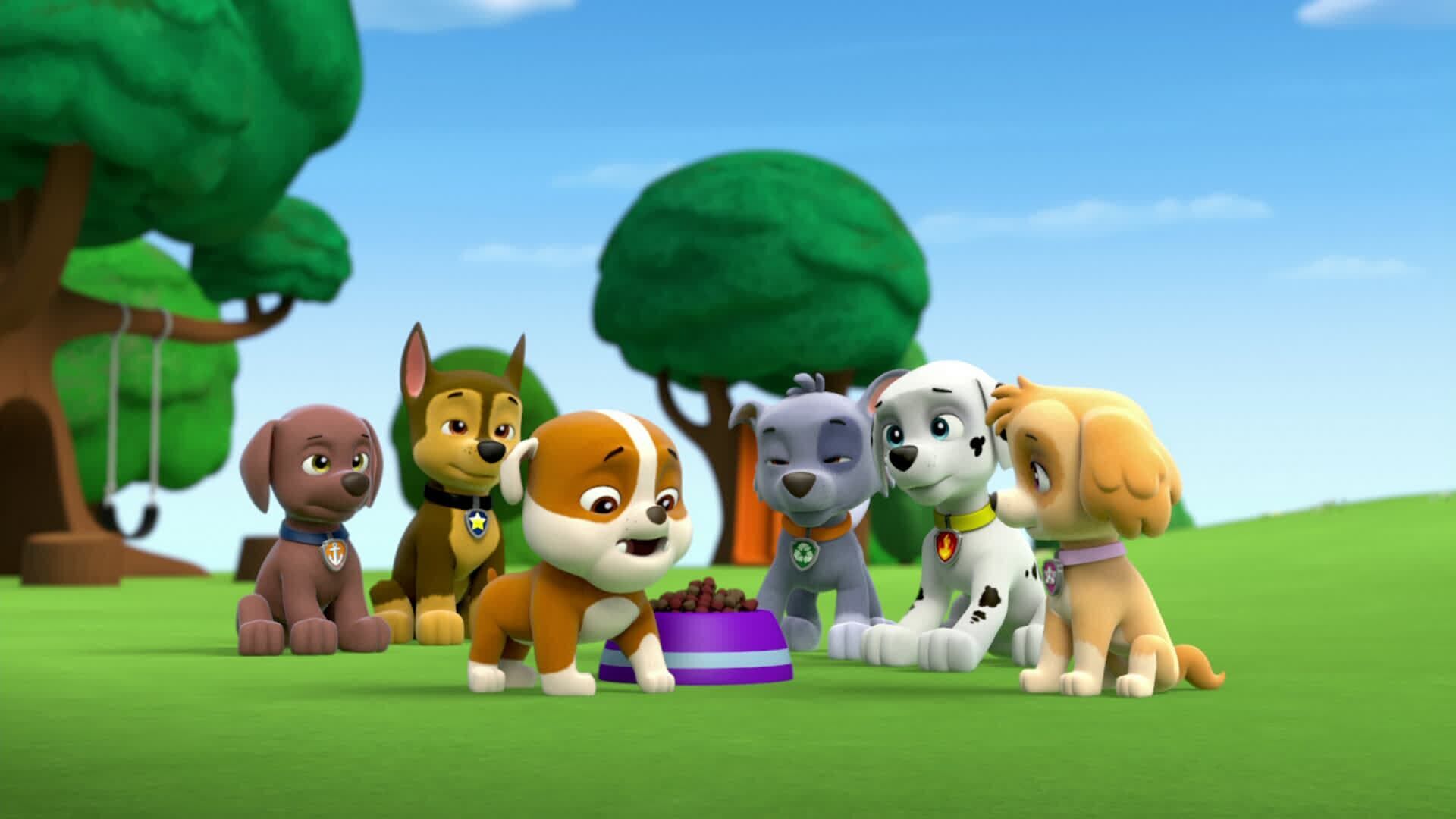 PAW Patrol – Helfer auf vier Pfoten