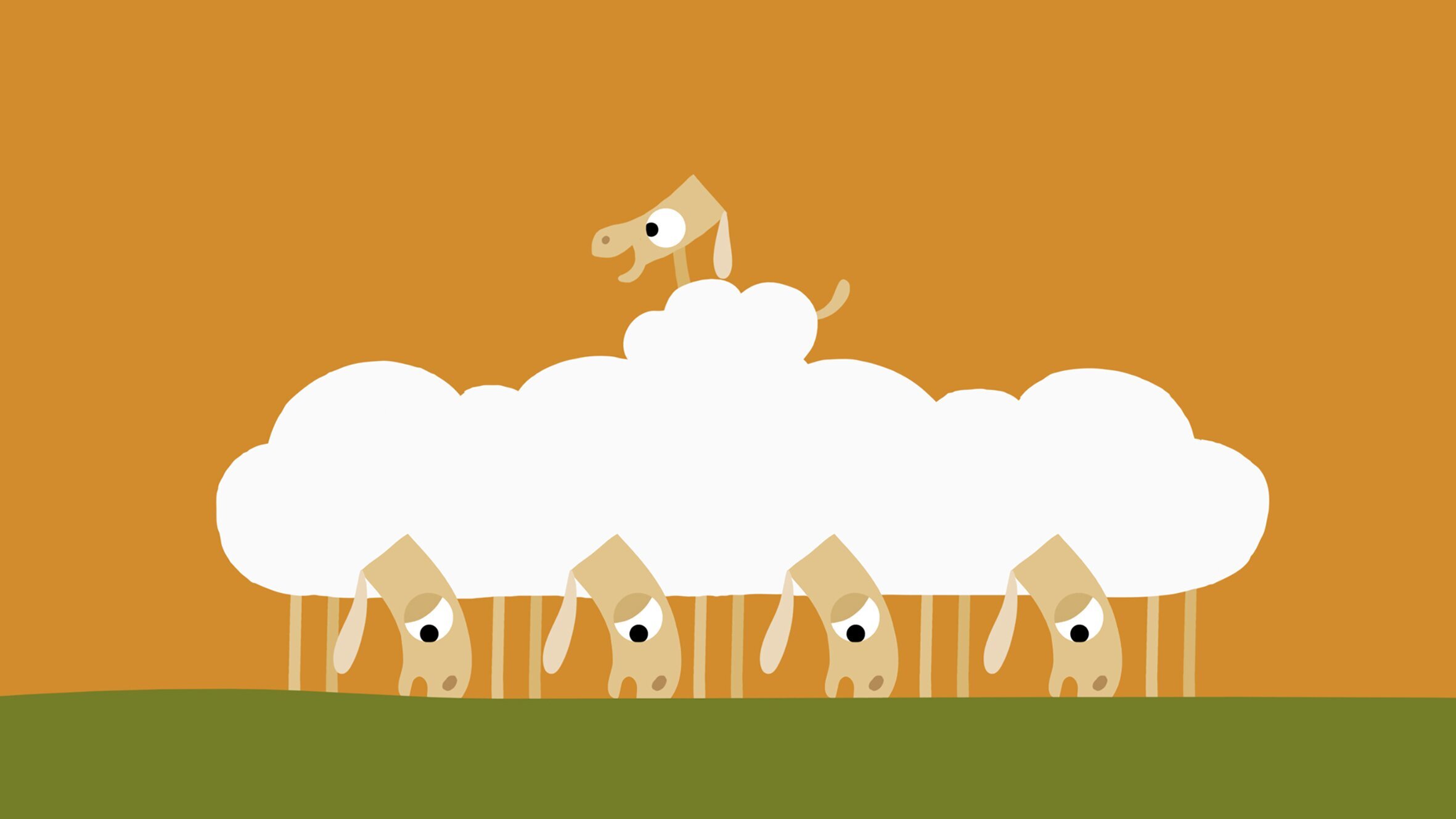 Animanimals