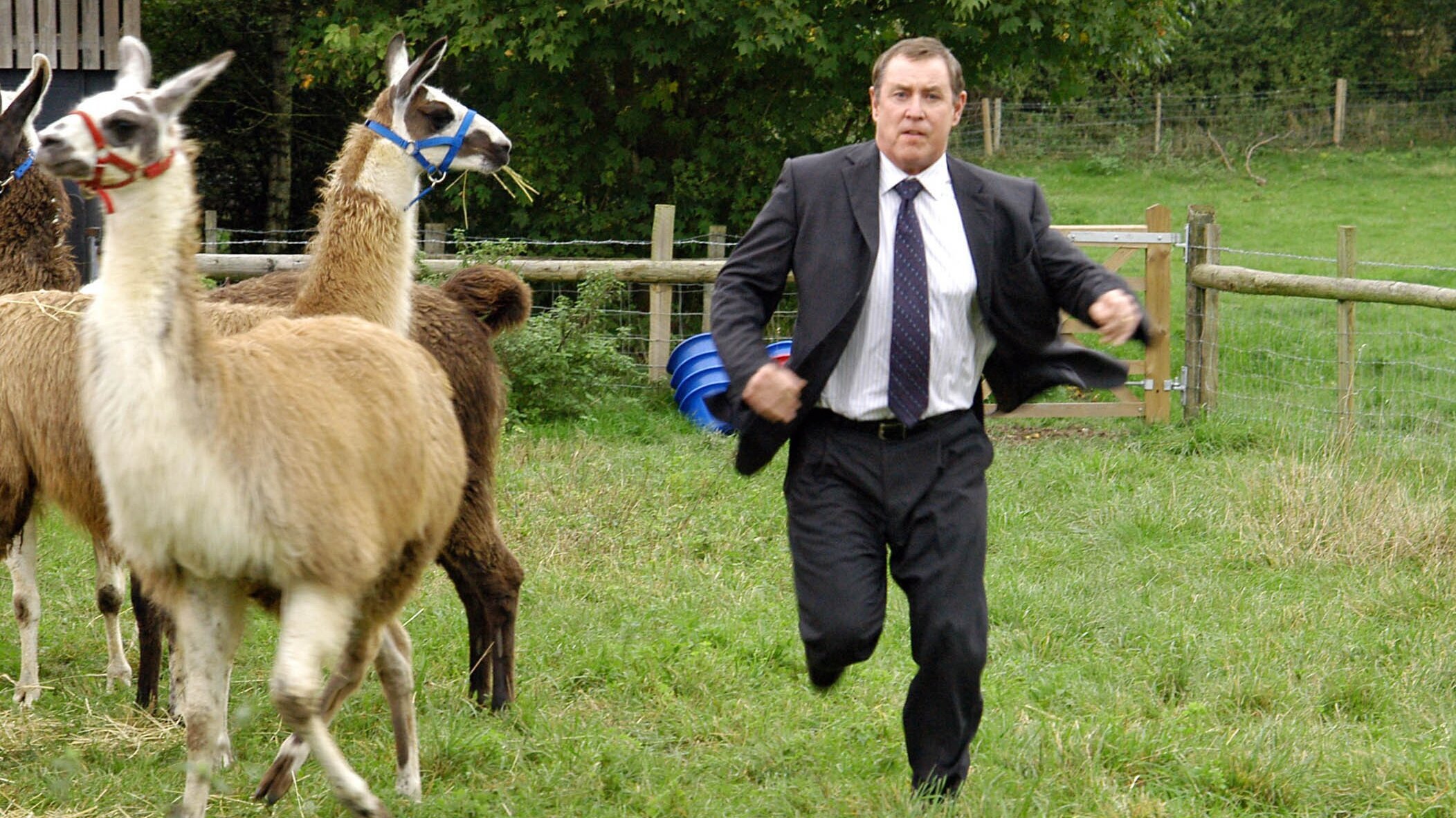 Inspector Barnaby