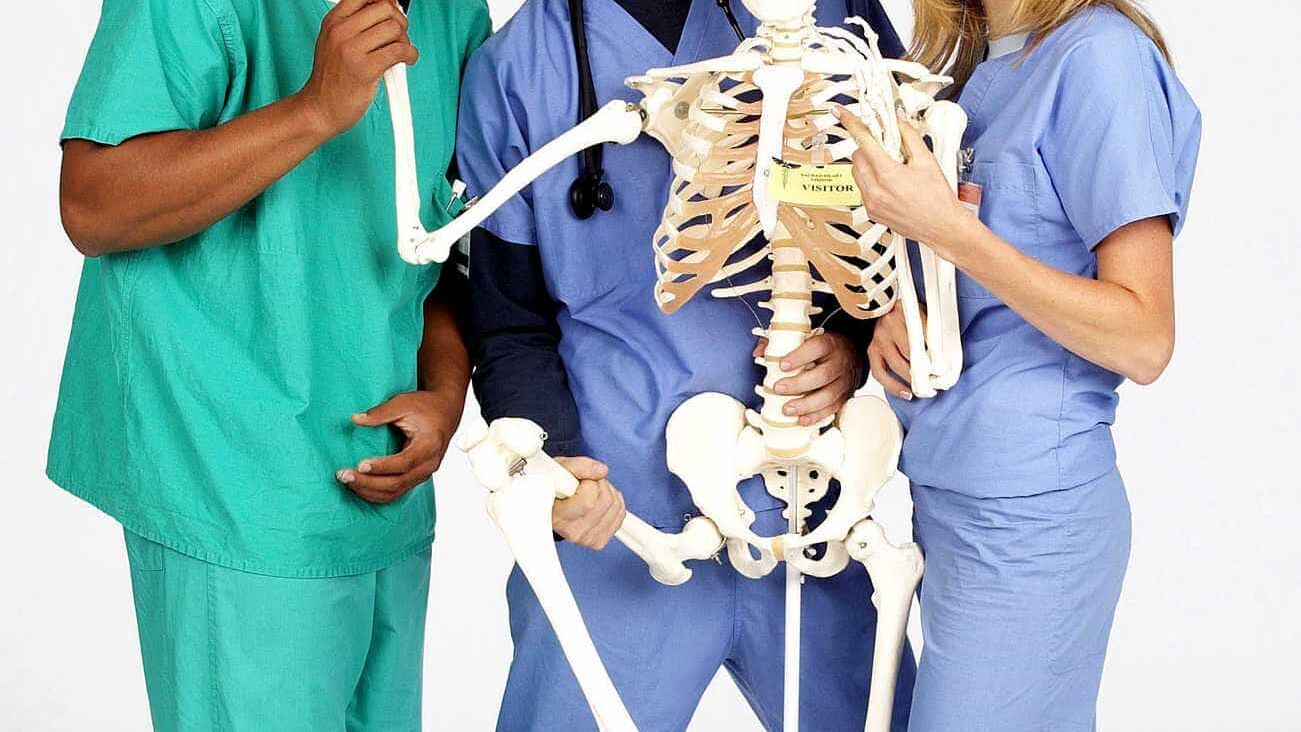 Scrubs – Die Anfänger