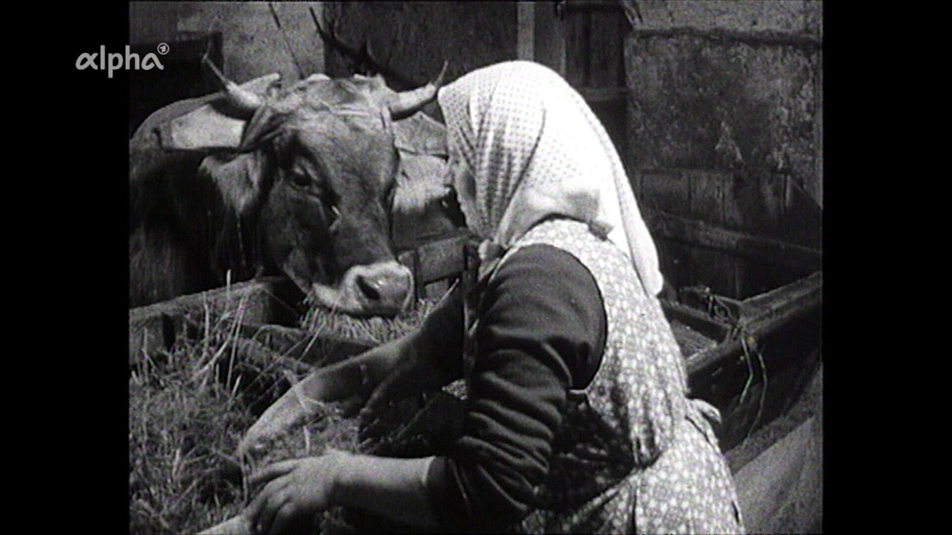 Retro: Die Heuzieher von Schmirn 1963