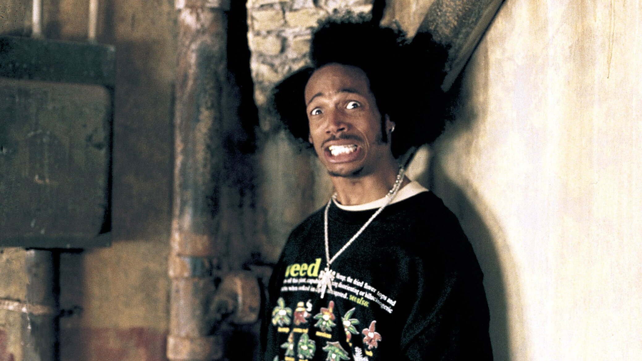 Scary Movie 2