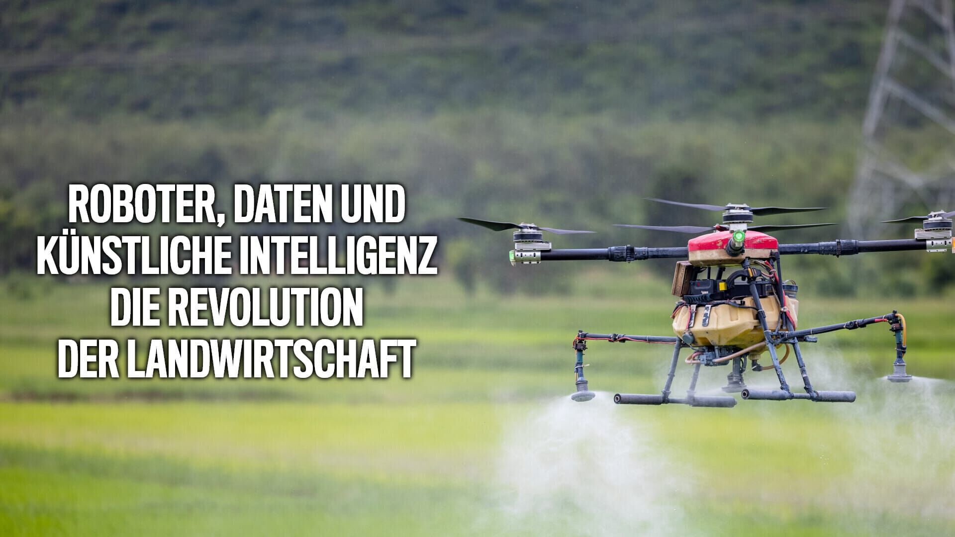 Roboter, Daten und KI