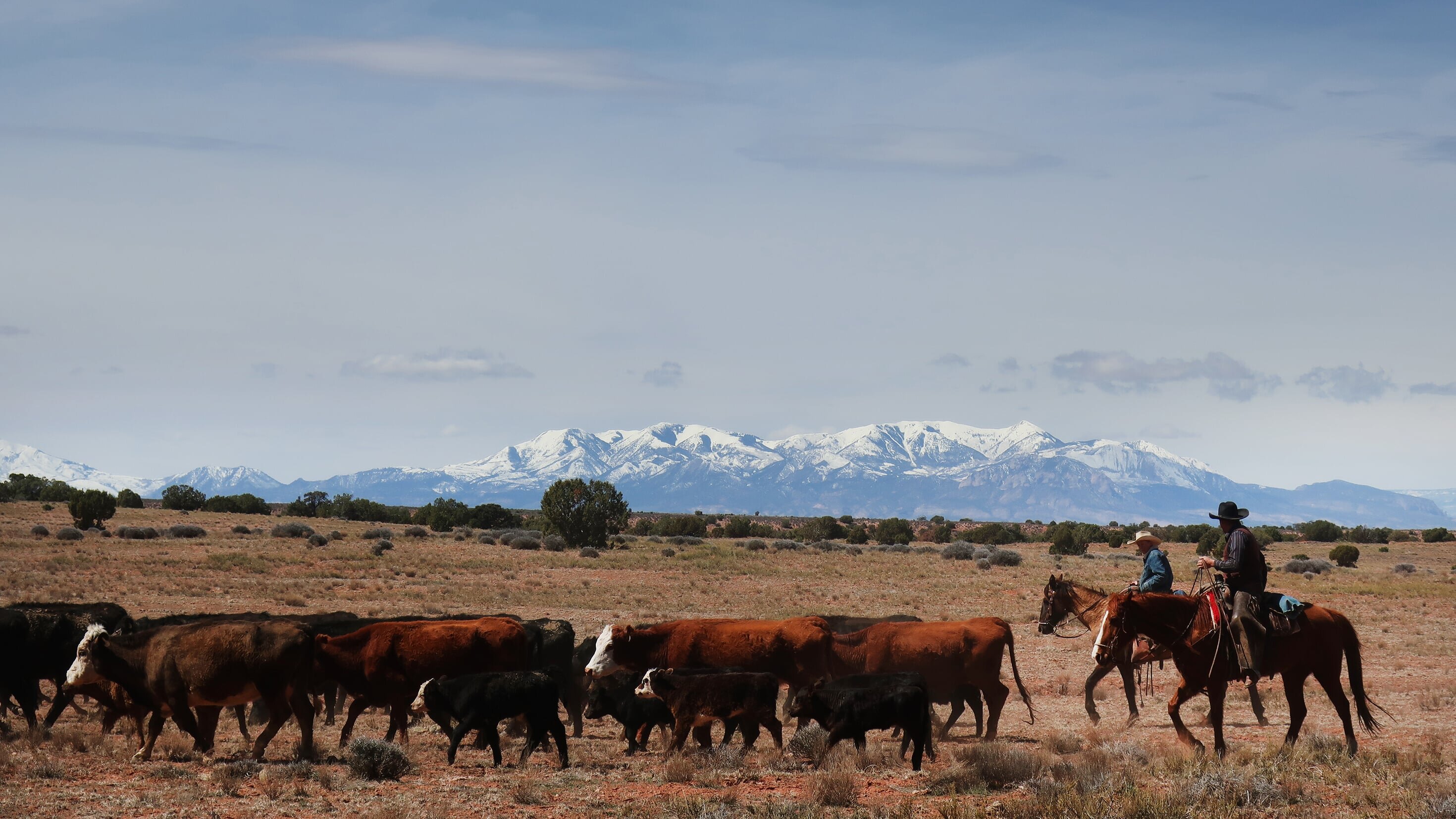 Cowboys und Indianer: Leben am Limit