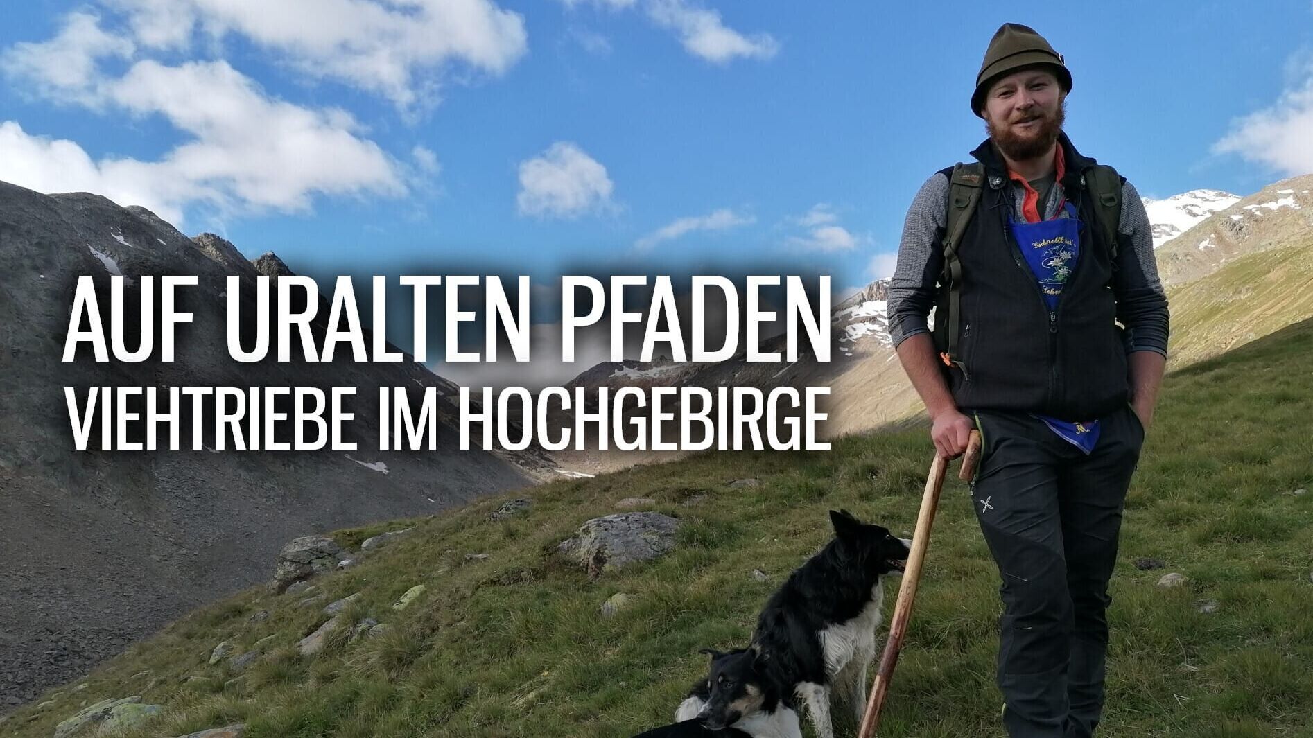 Auf uralten Pfaden – Viehtriebe im Hochgebirge