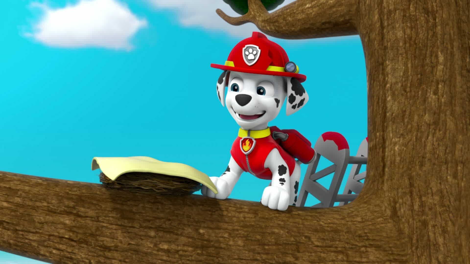 PAW Patrol – Helfer auf vier Pfoten