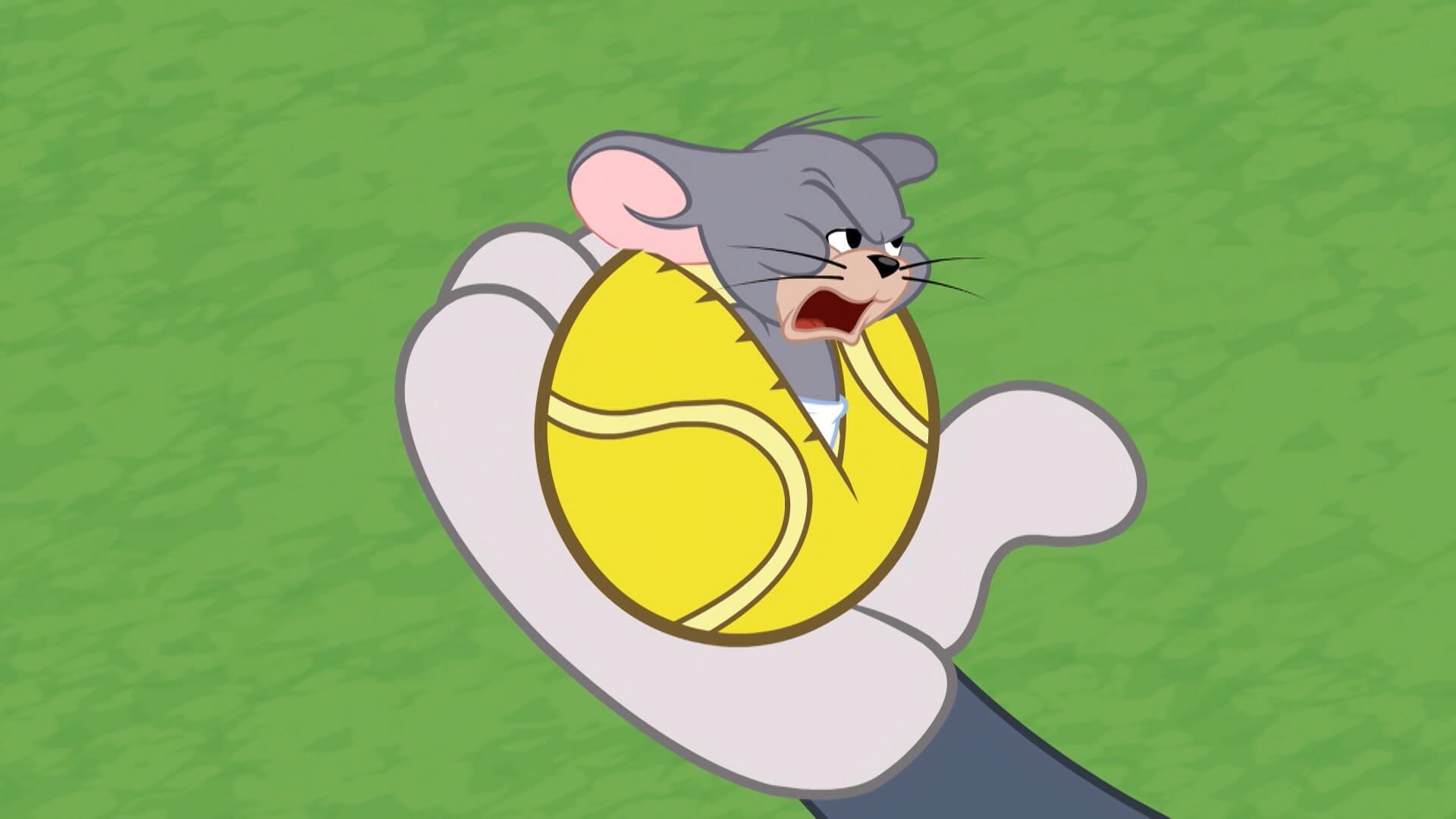 Die Tom und Jerry Show