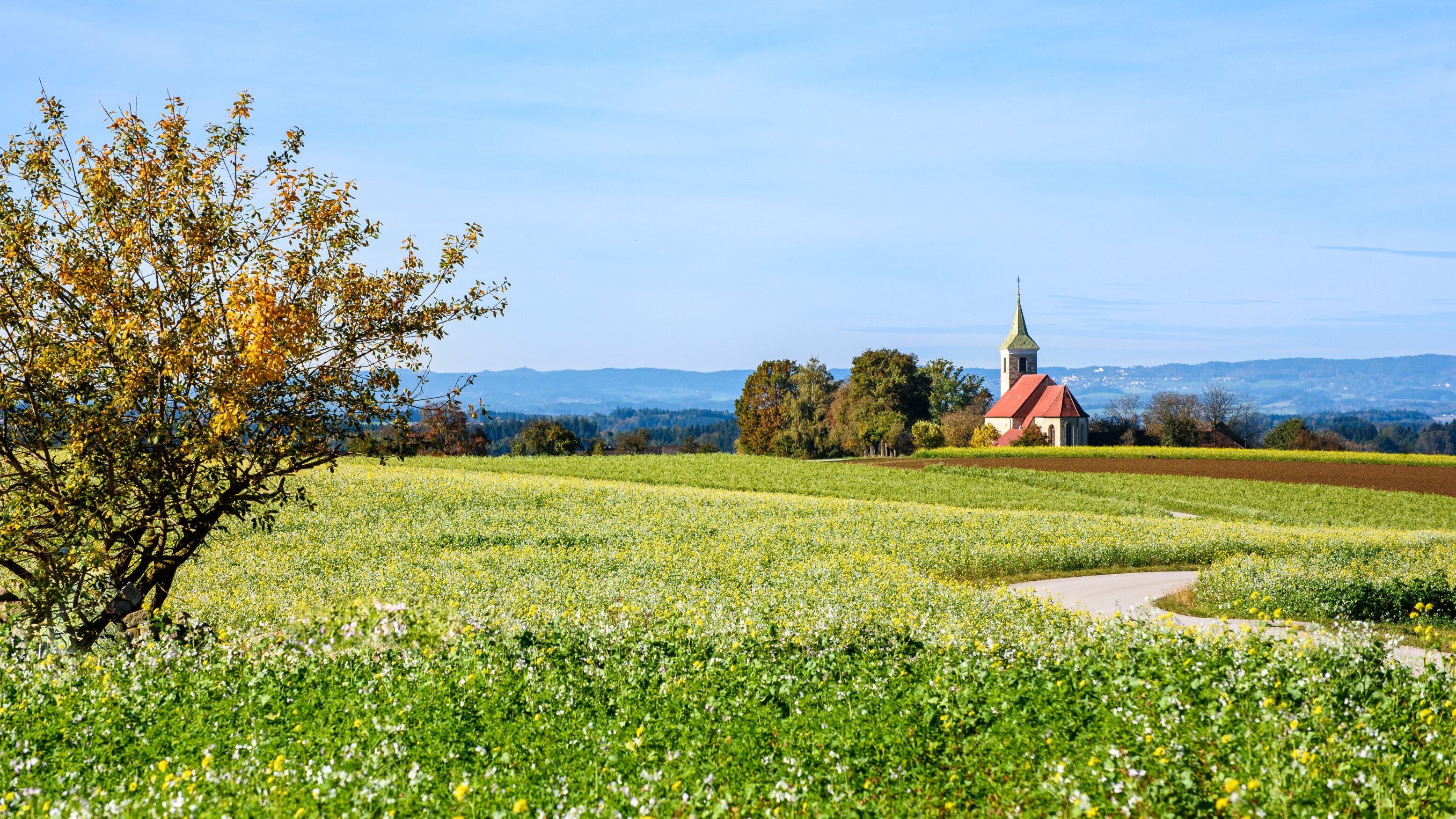 Katholischer Gottesdienst