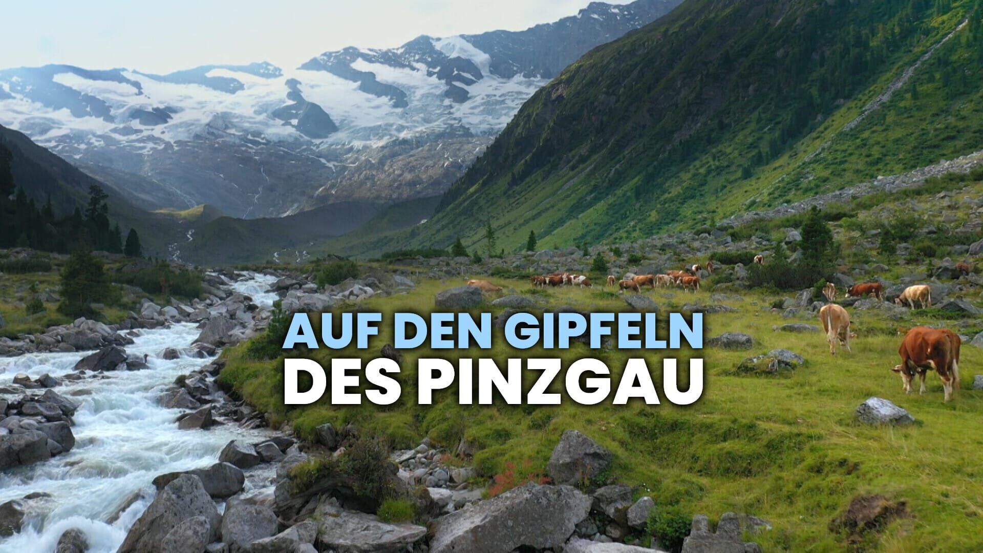 Auf den Gipfeln des Pinzgau