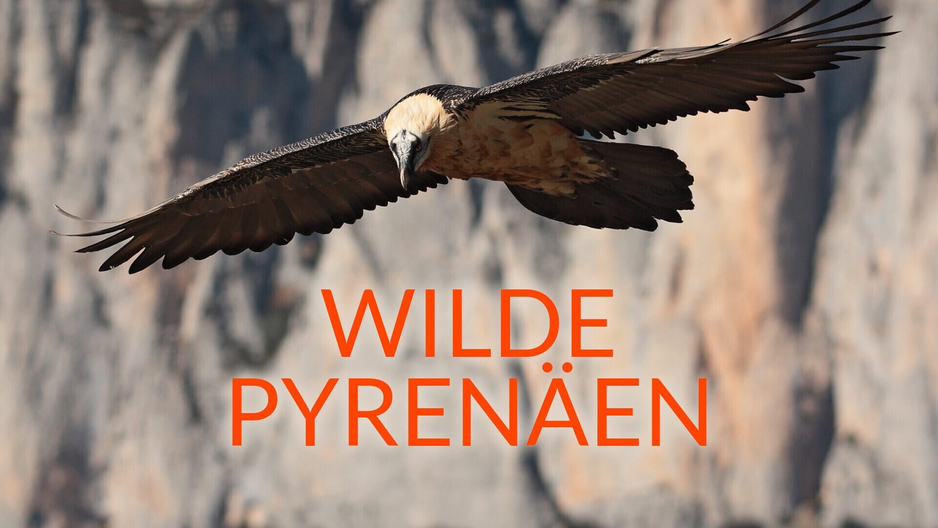 Wilde Pyrenäen