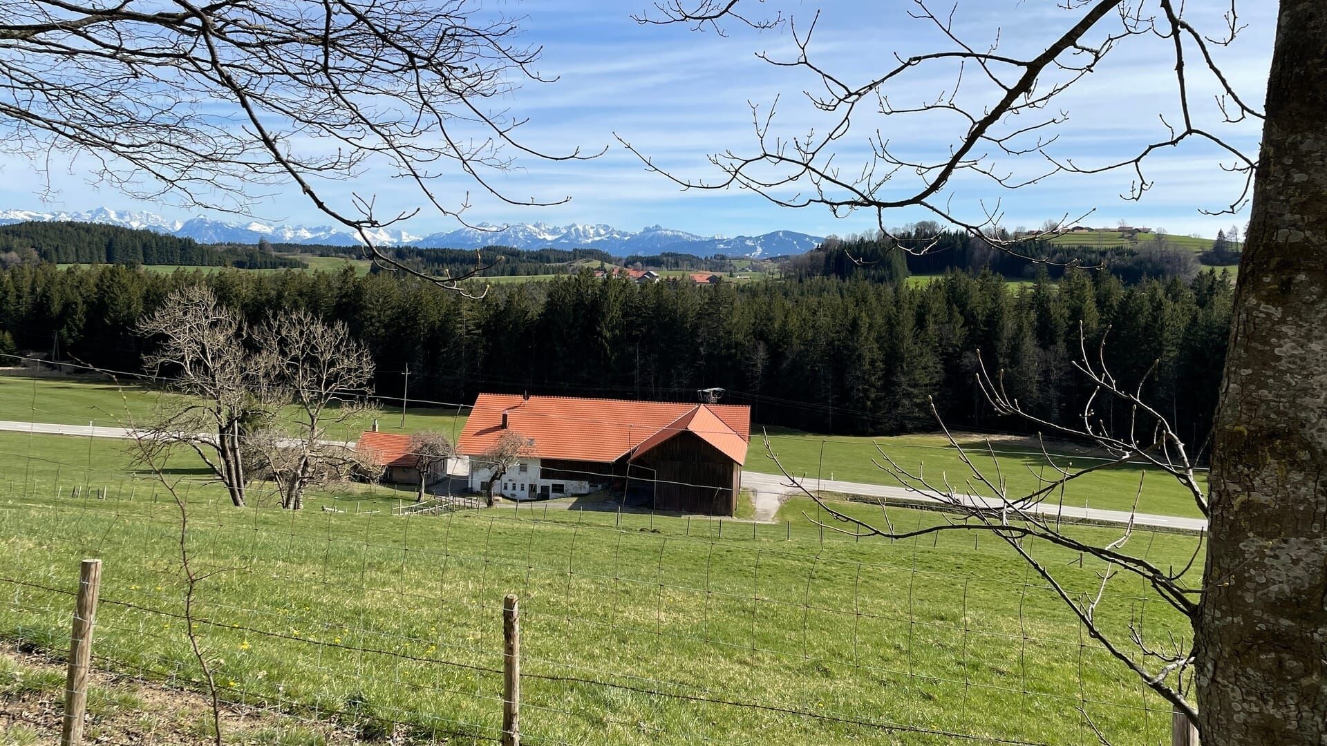 Zwischen Bergzauber und Kuhmist