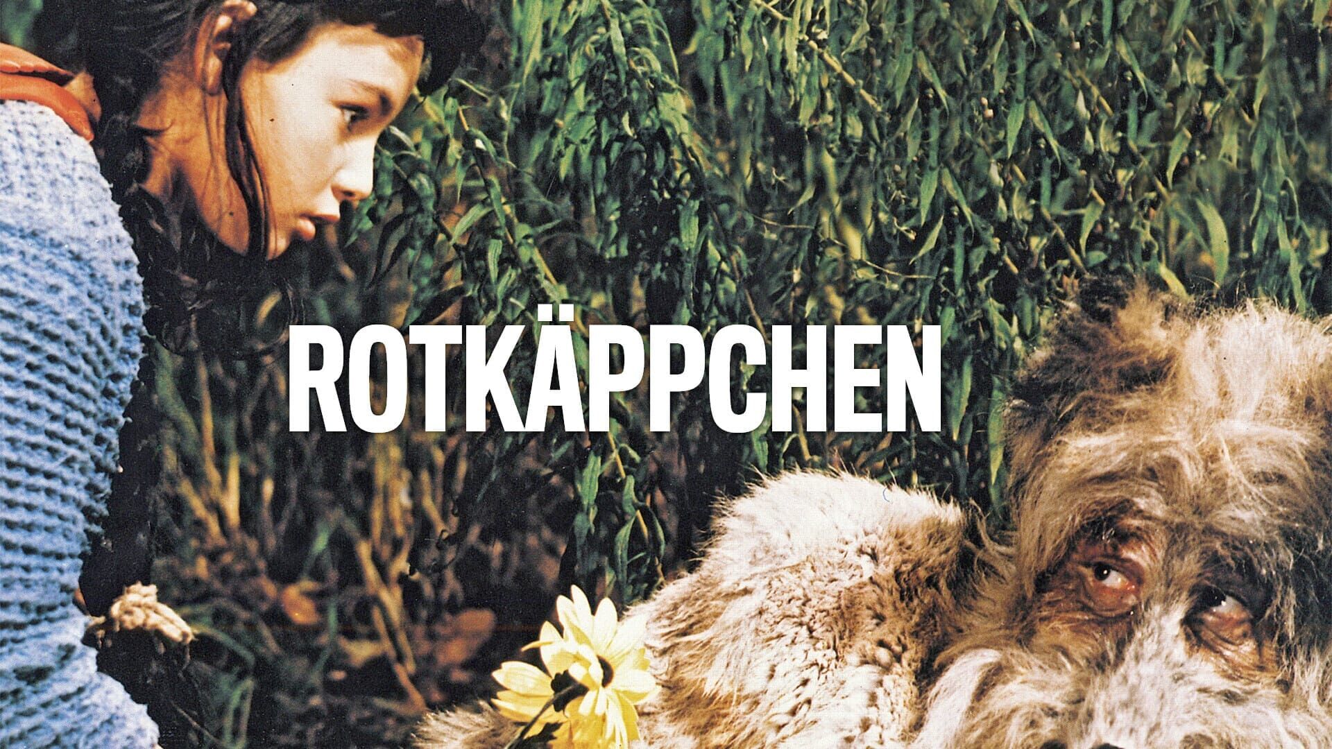 Rotkäppchen