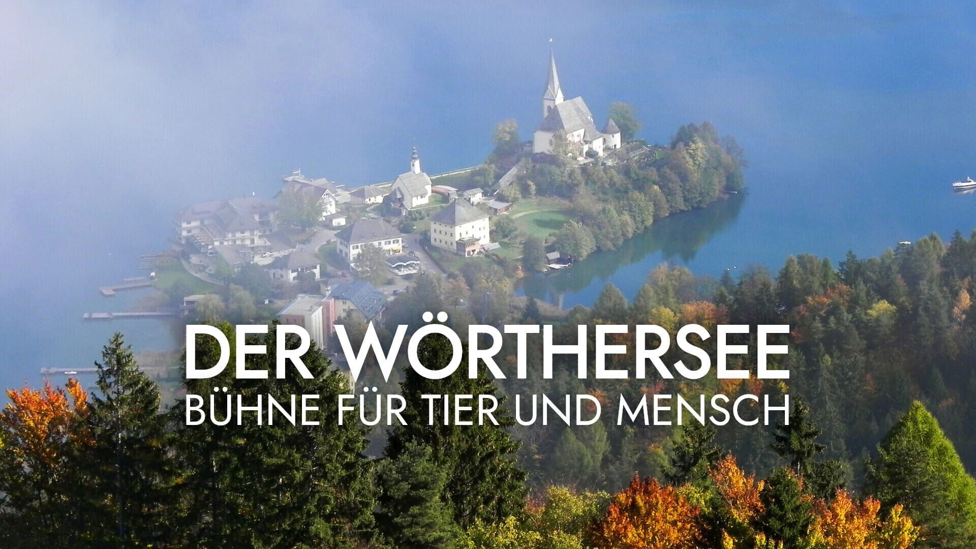 Wörthersee – Bühne für Tier und Mensch