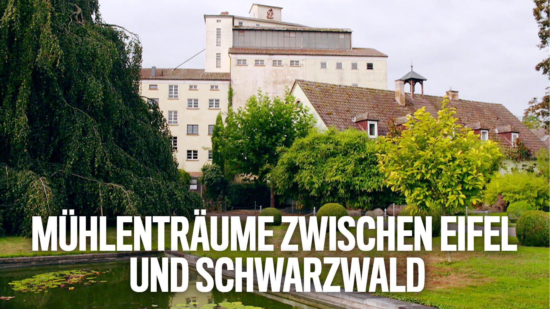 Mühlenträume zwischen Eifel und Schwarzwald