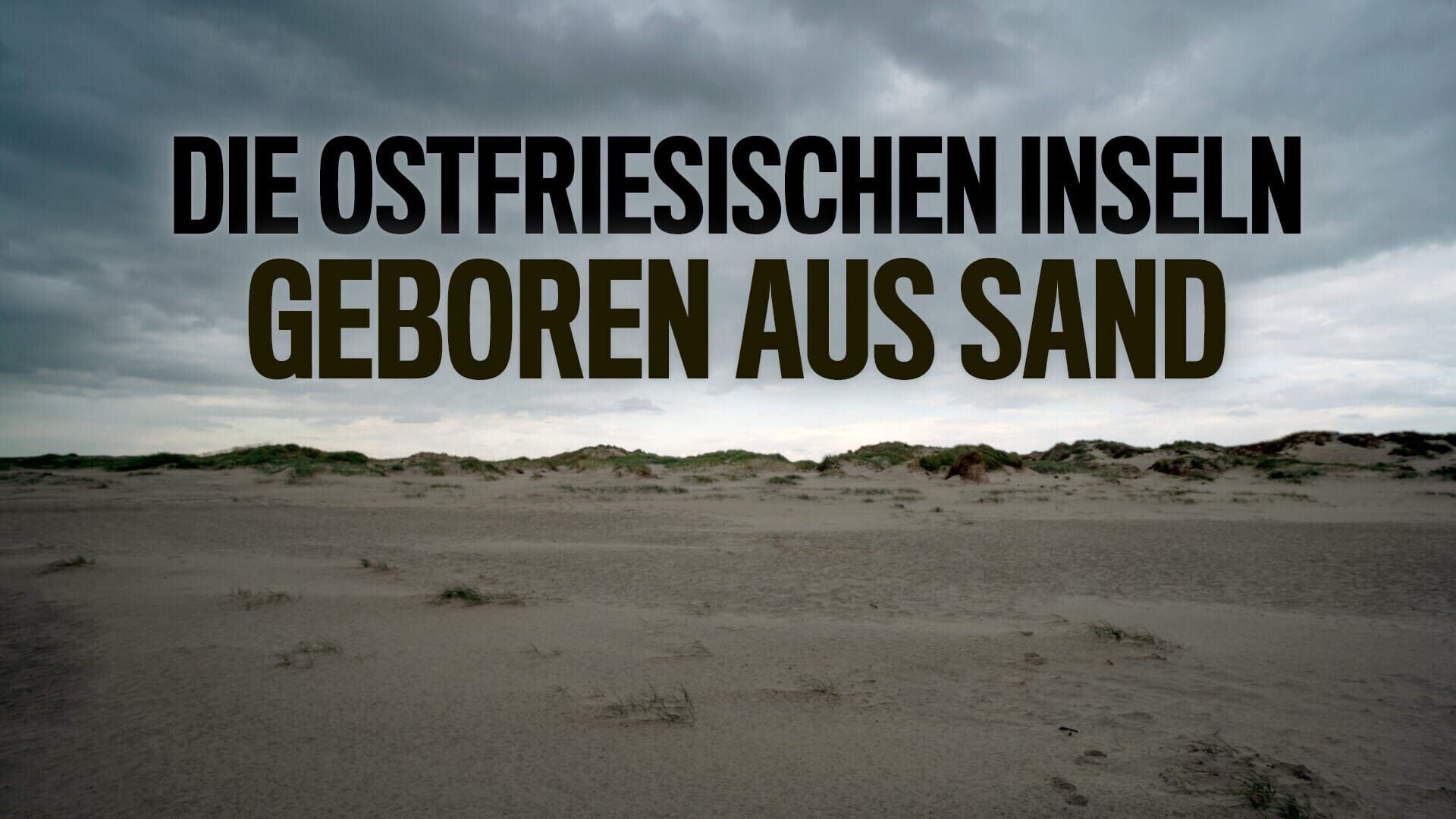 Die Ostfriesischen Inseln – Geboren aus Sand