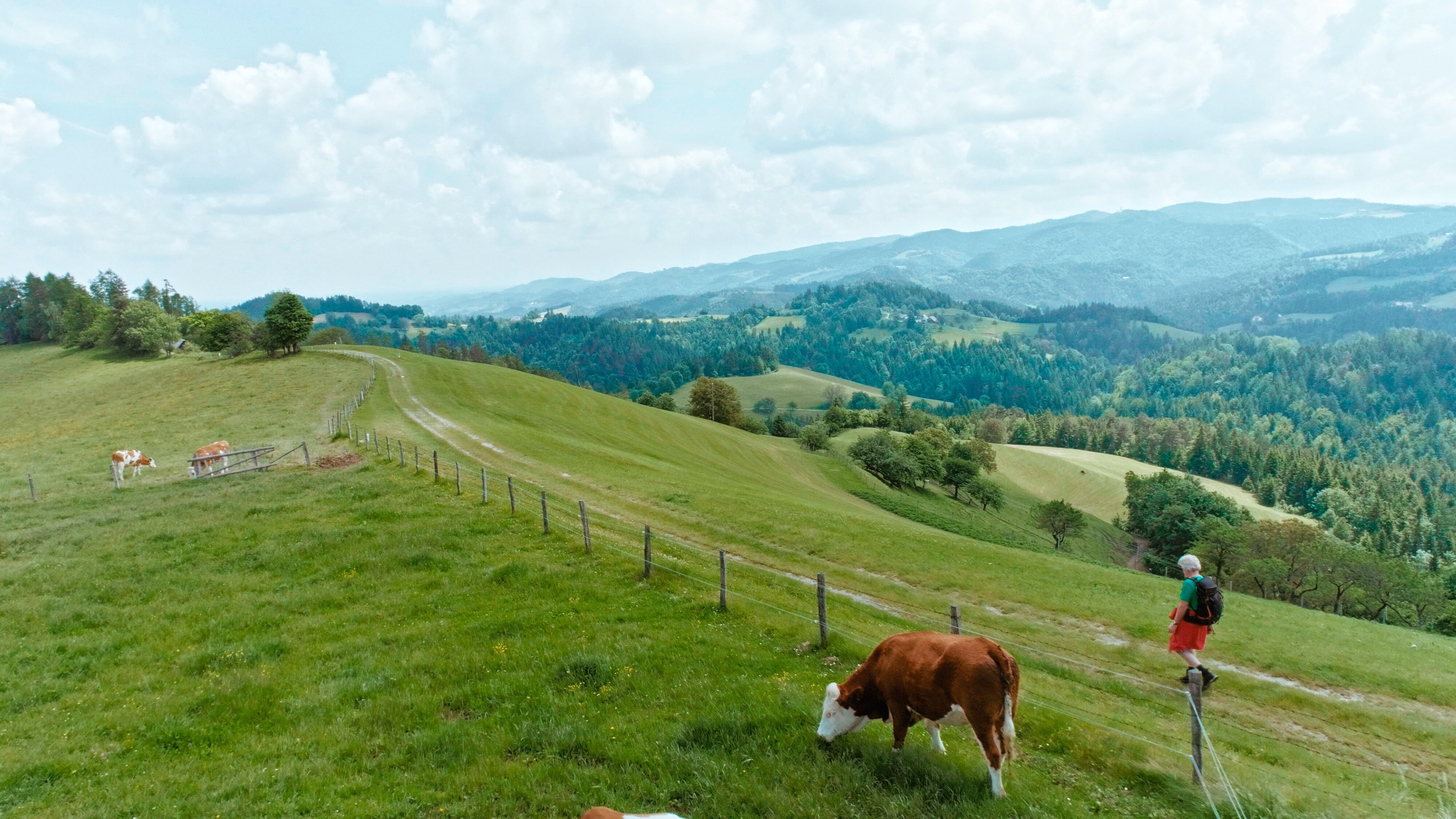 Grenzwege – Der Grenzpanoramaweg