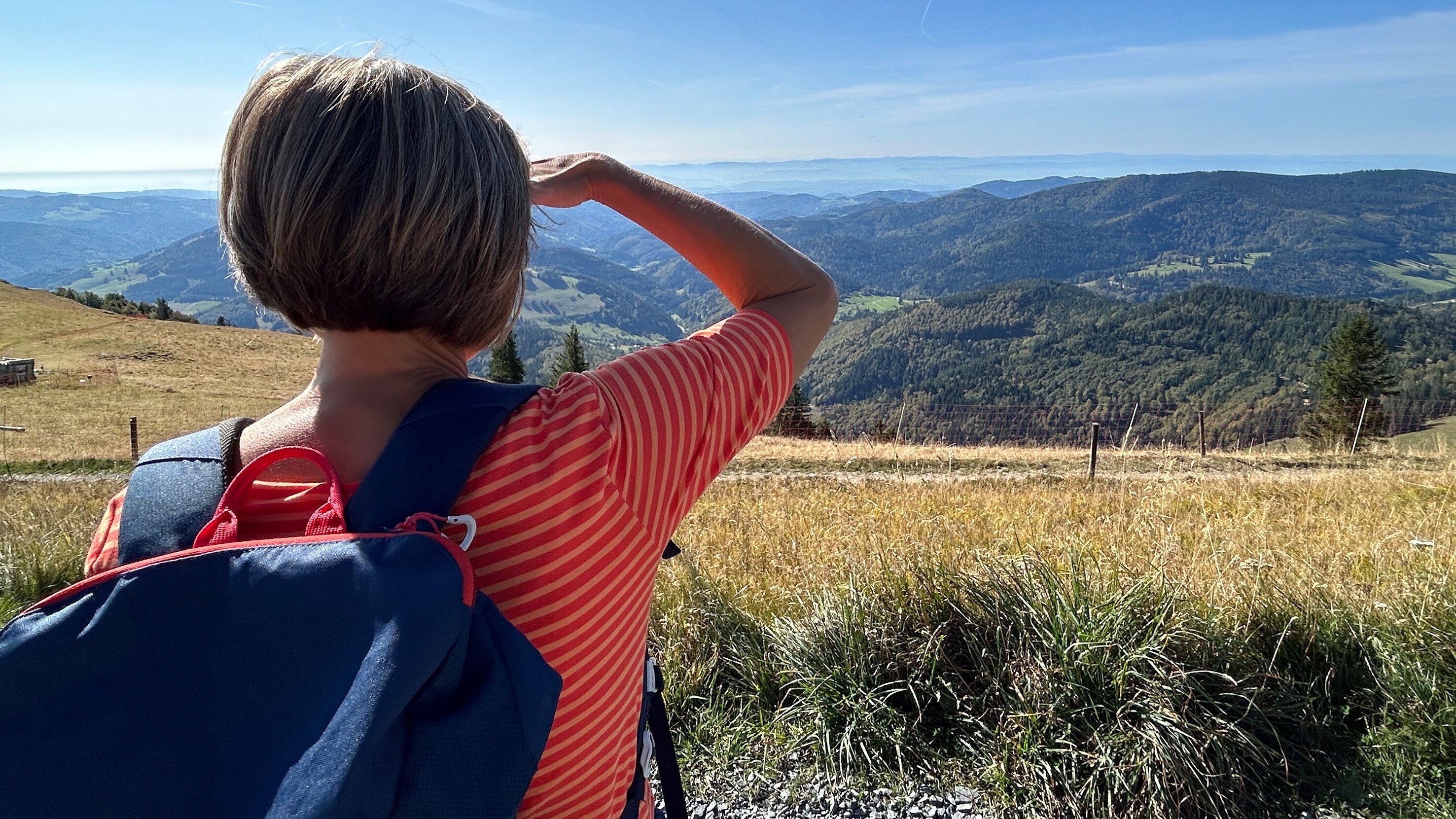 Expedition in die Heimat