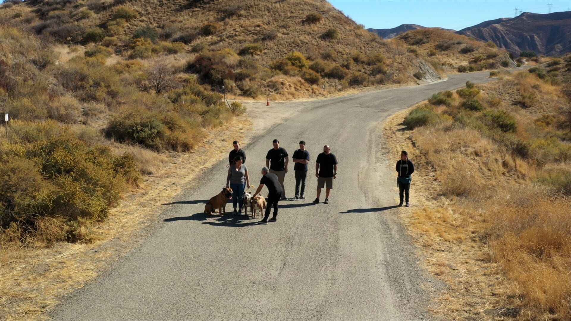Cesar Millan: Better Human Better Dog – Bessere Menschen, bessere Hunde