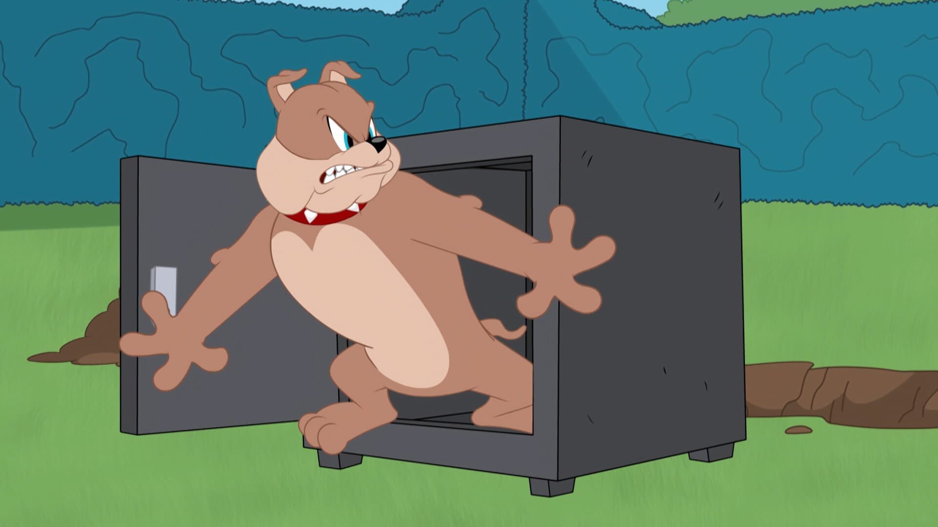 Die Tom und Jerry Show