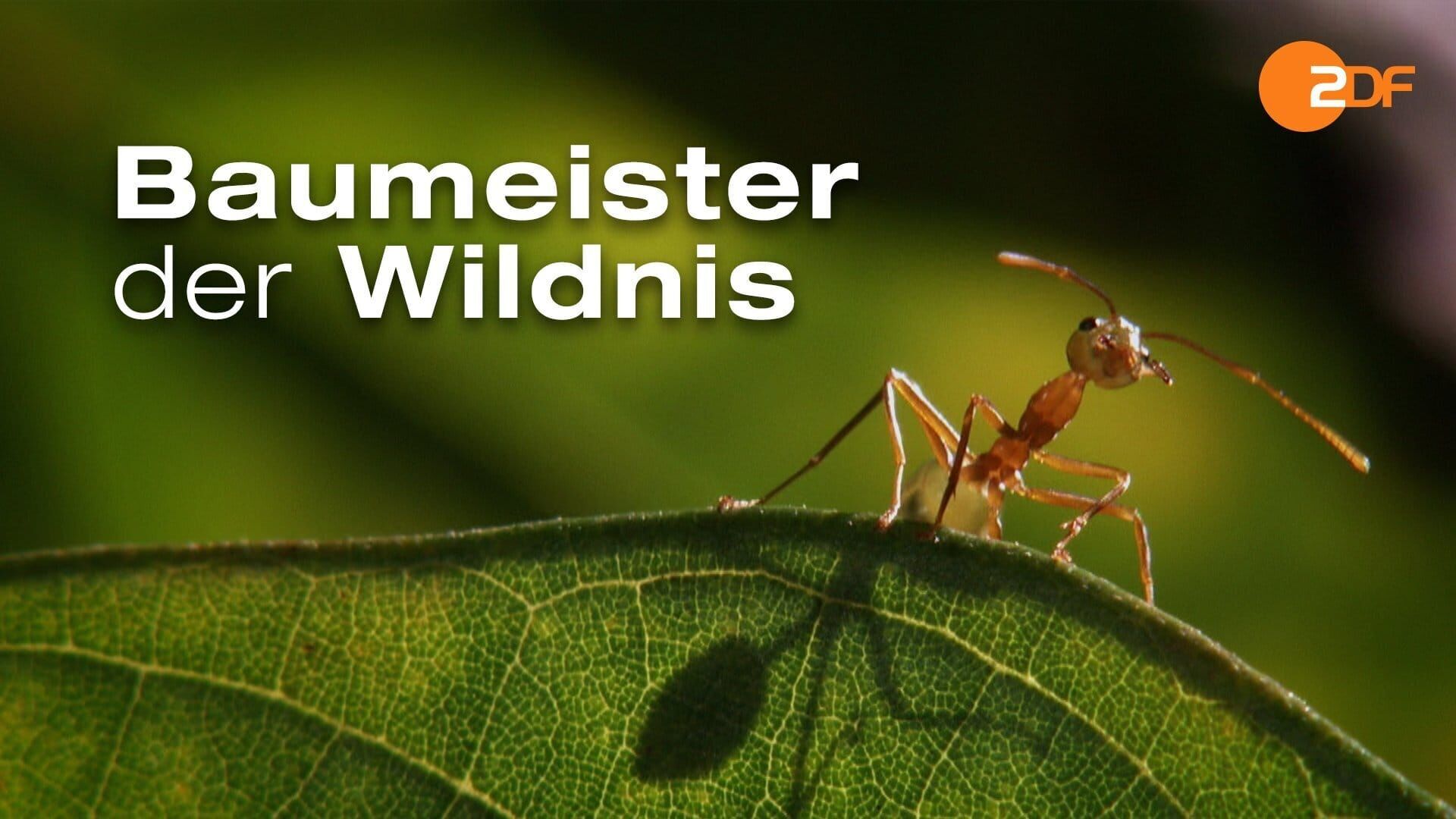 Baumeister der Wildnis