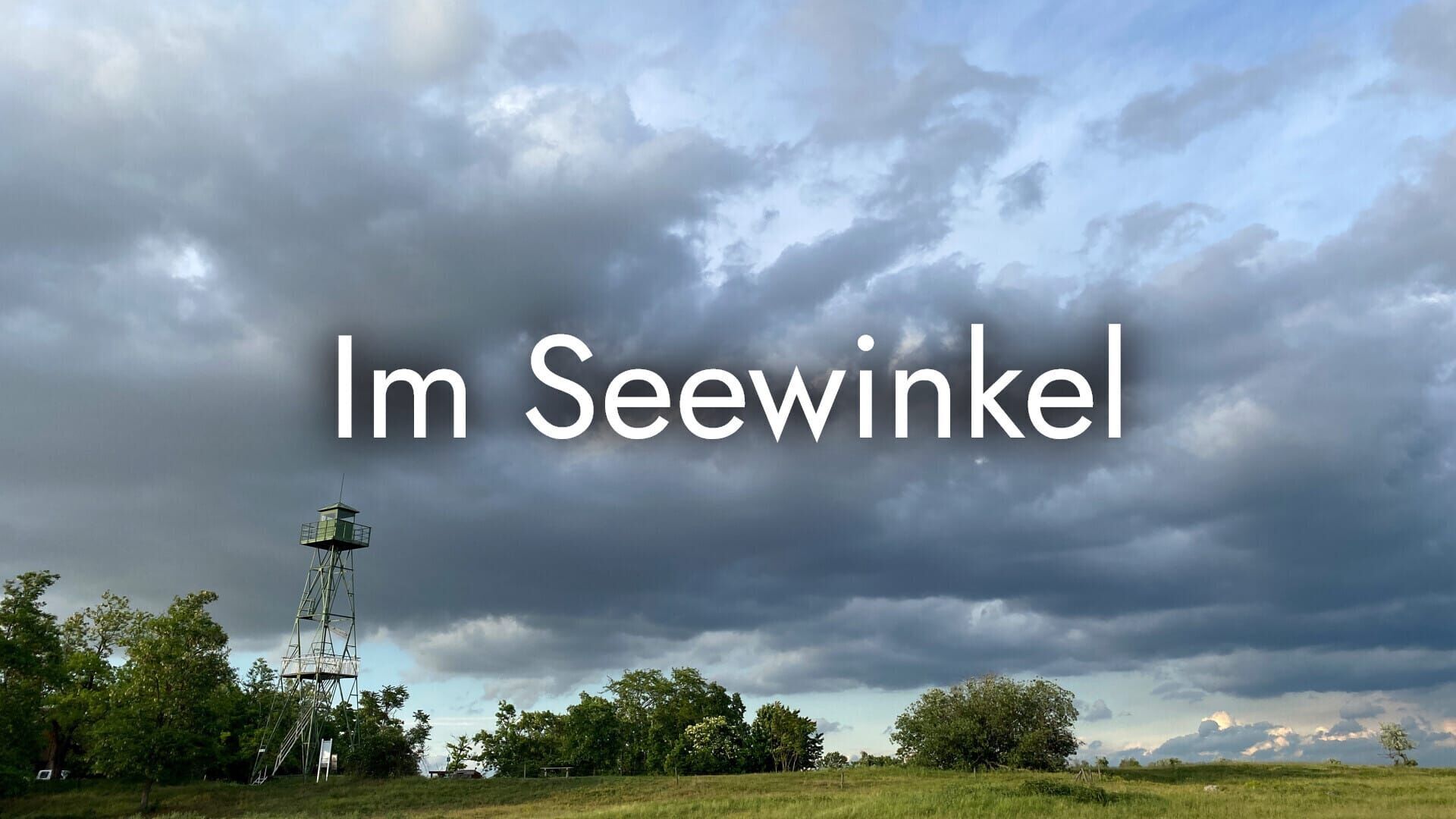 Im Seewinkel