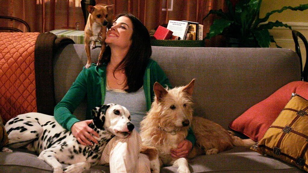How I Met Your Mother