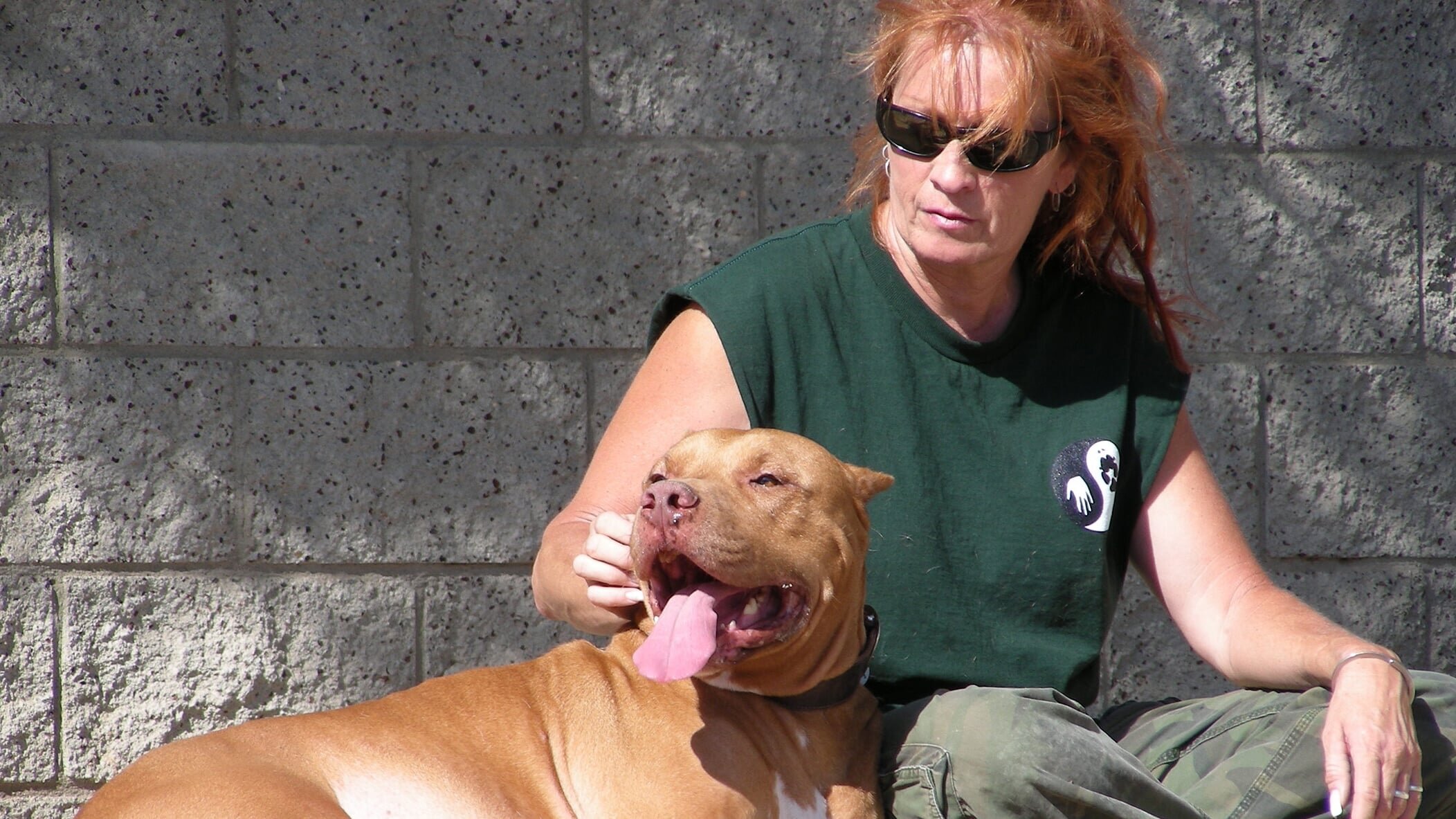 Pitbulls auf Bewährung