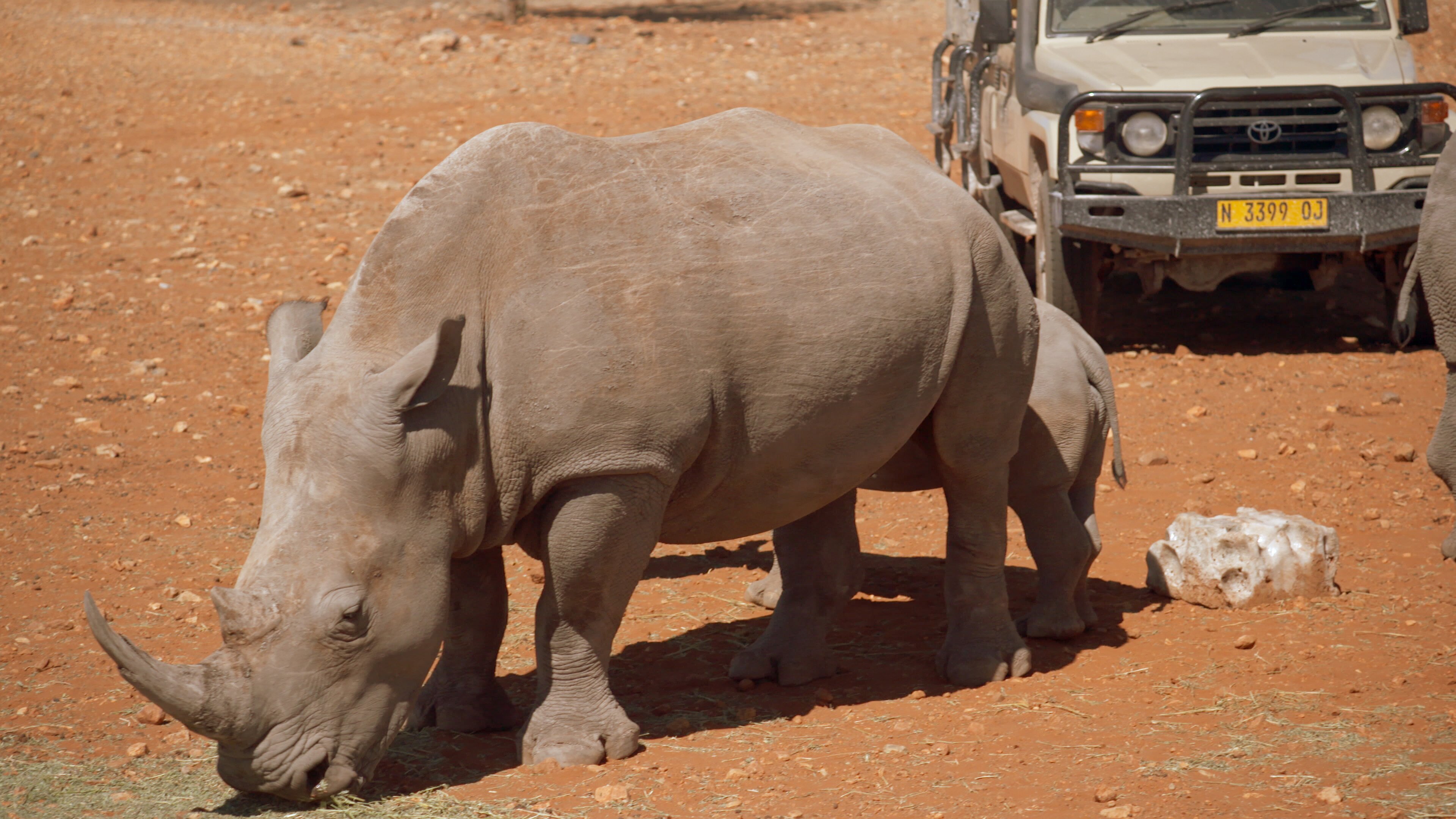 OLI's Wilde Welt – In Afrika